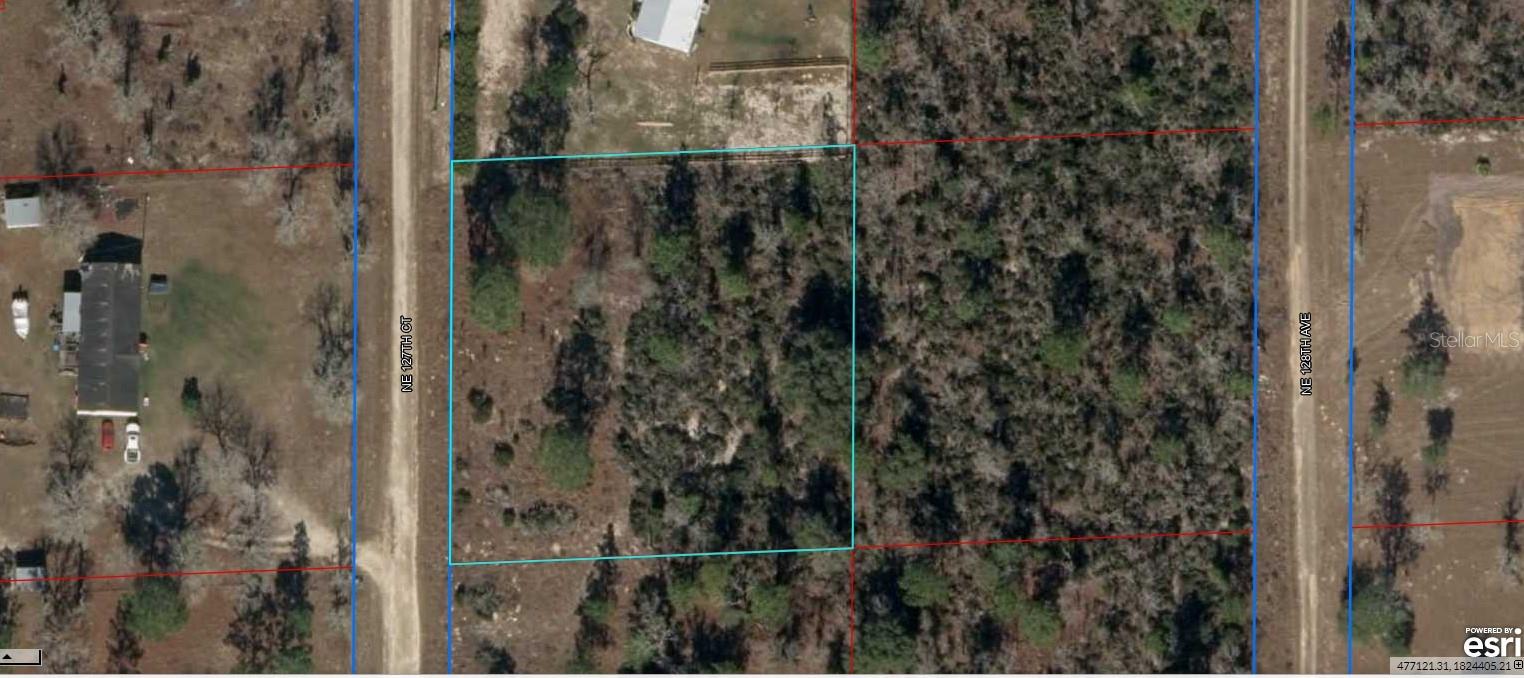 Details for 09846-007-00 127 Court, WILLISTON, FL 32696