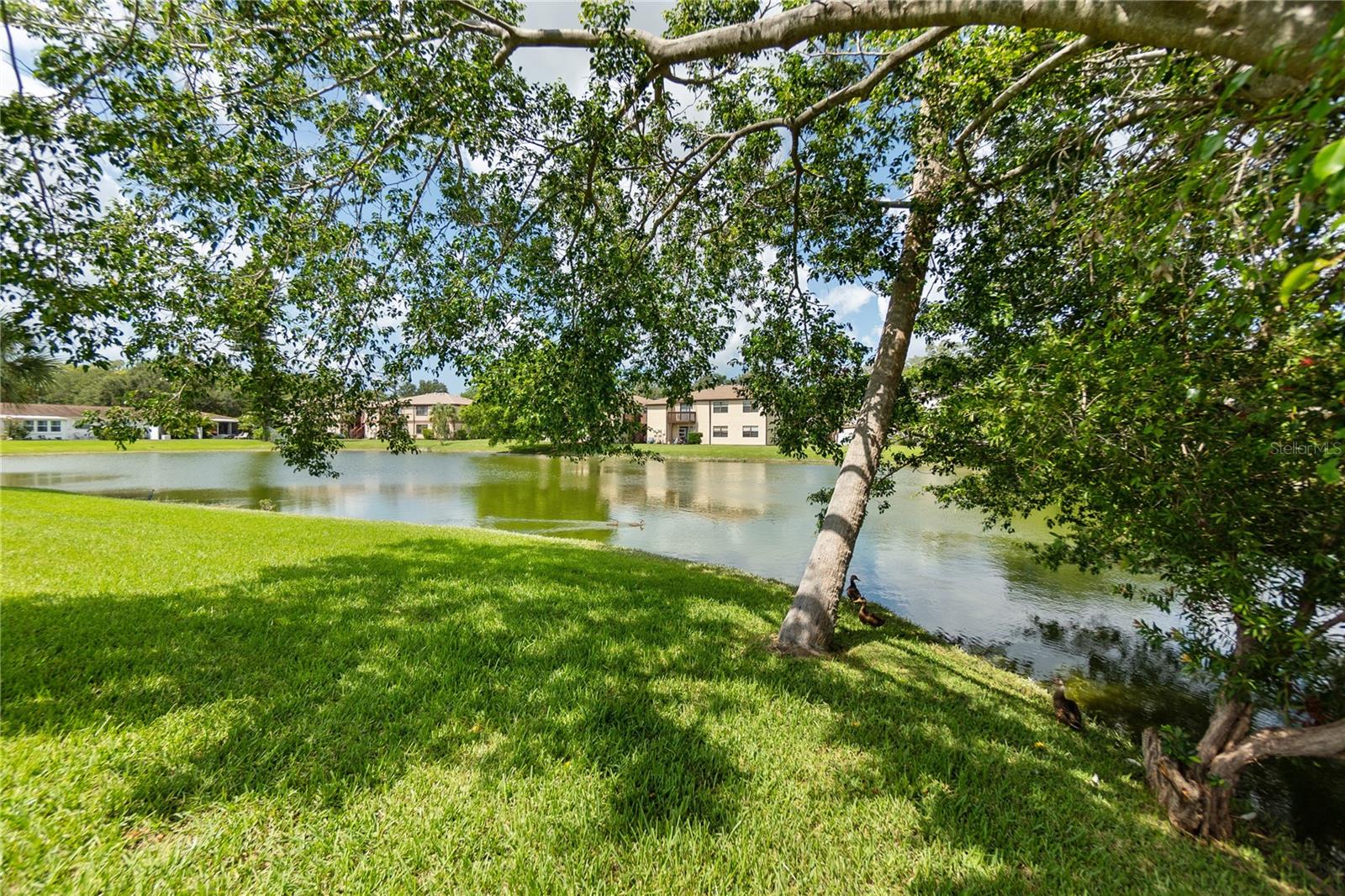 Listing photo id 30 for 5055 Live Oak Circle