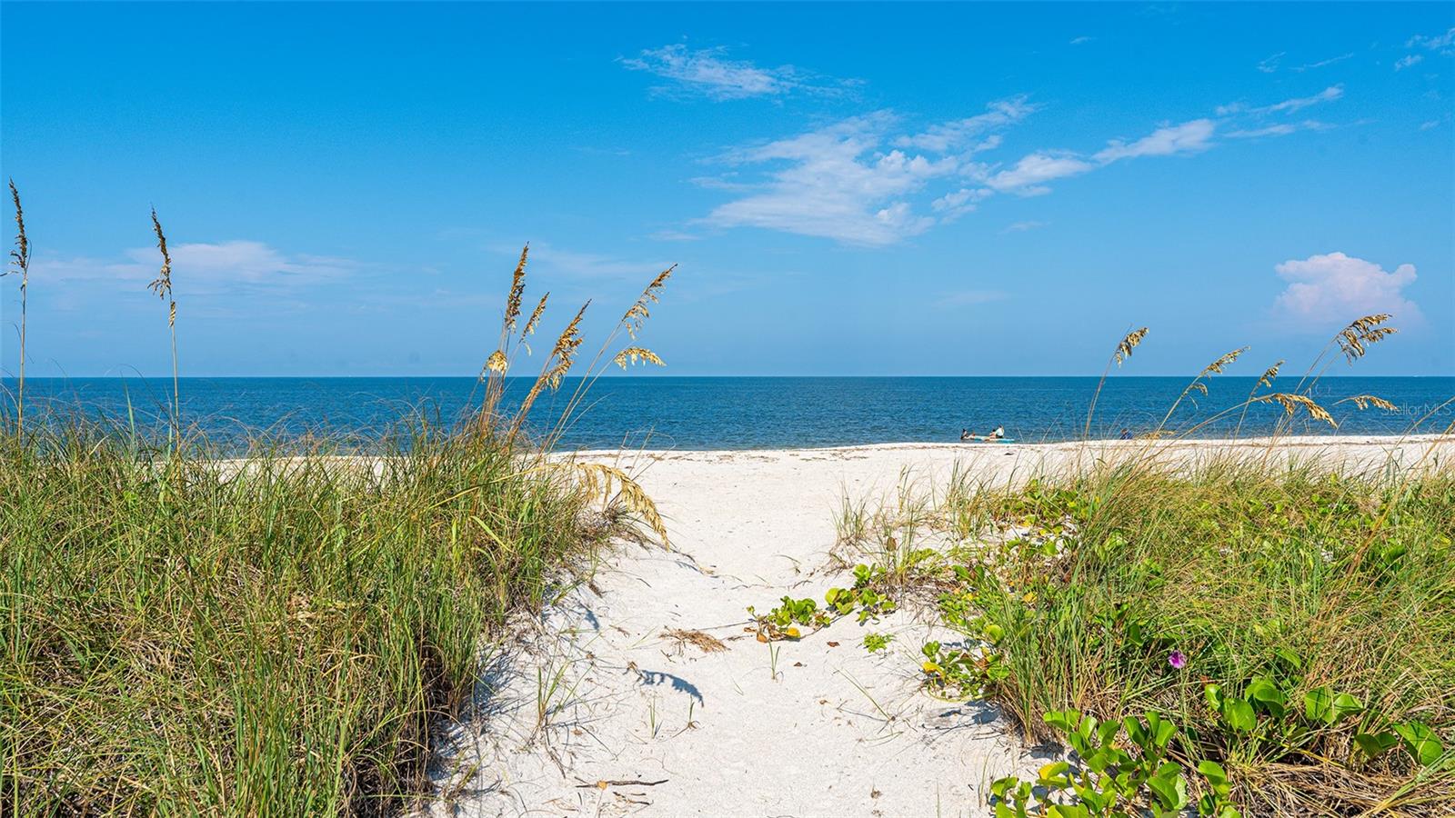 Listing photo id 10 for 418 Casey Key Road