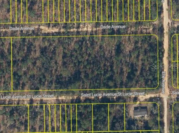 Listing Details for St. Lucie Avenue, INTERLACHEN, FL 32148