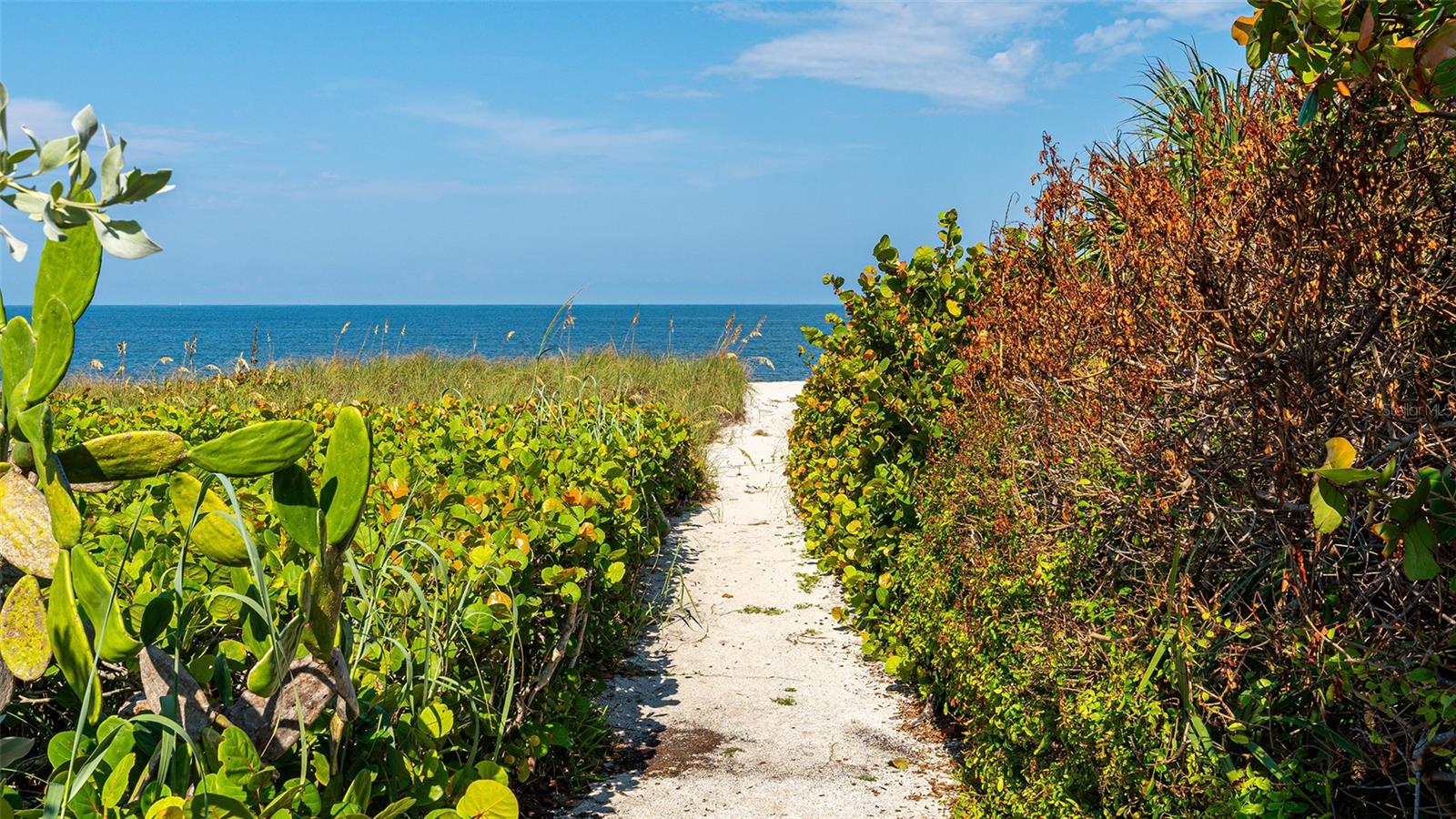 Image 12 of 15 For 418 Casey Key Road