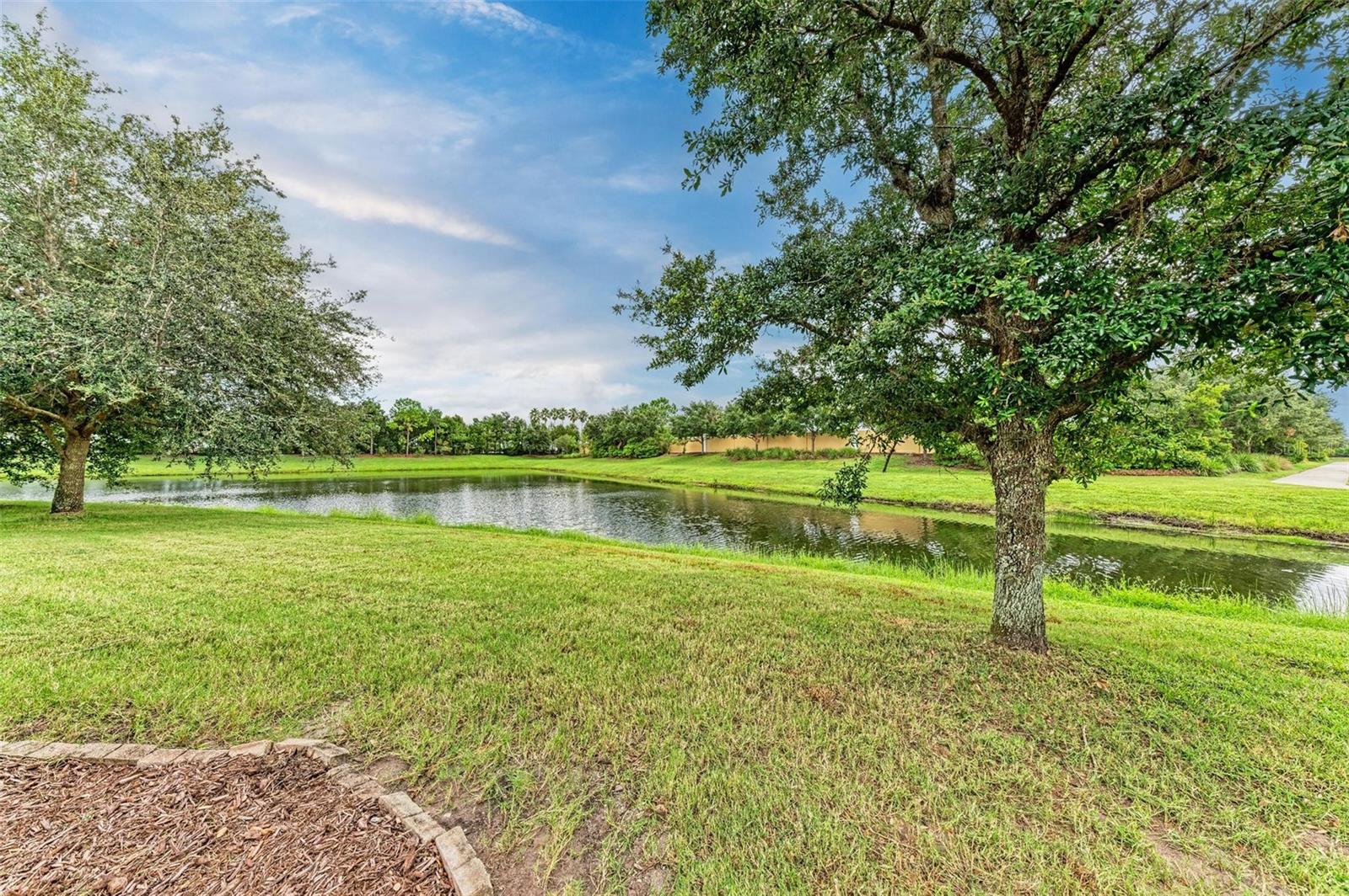 Listing photo id 47 for 12198 Longview Lake Circle