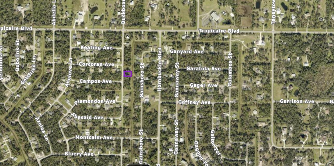 Image 2 of 2 For Buckboard Street