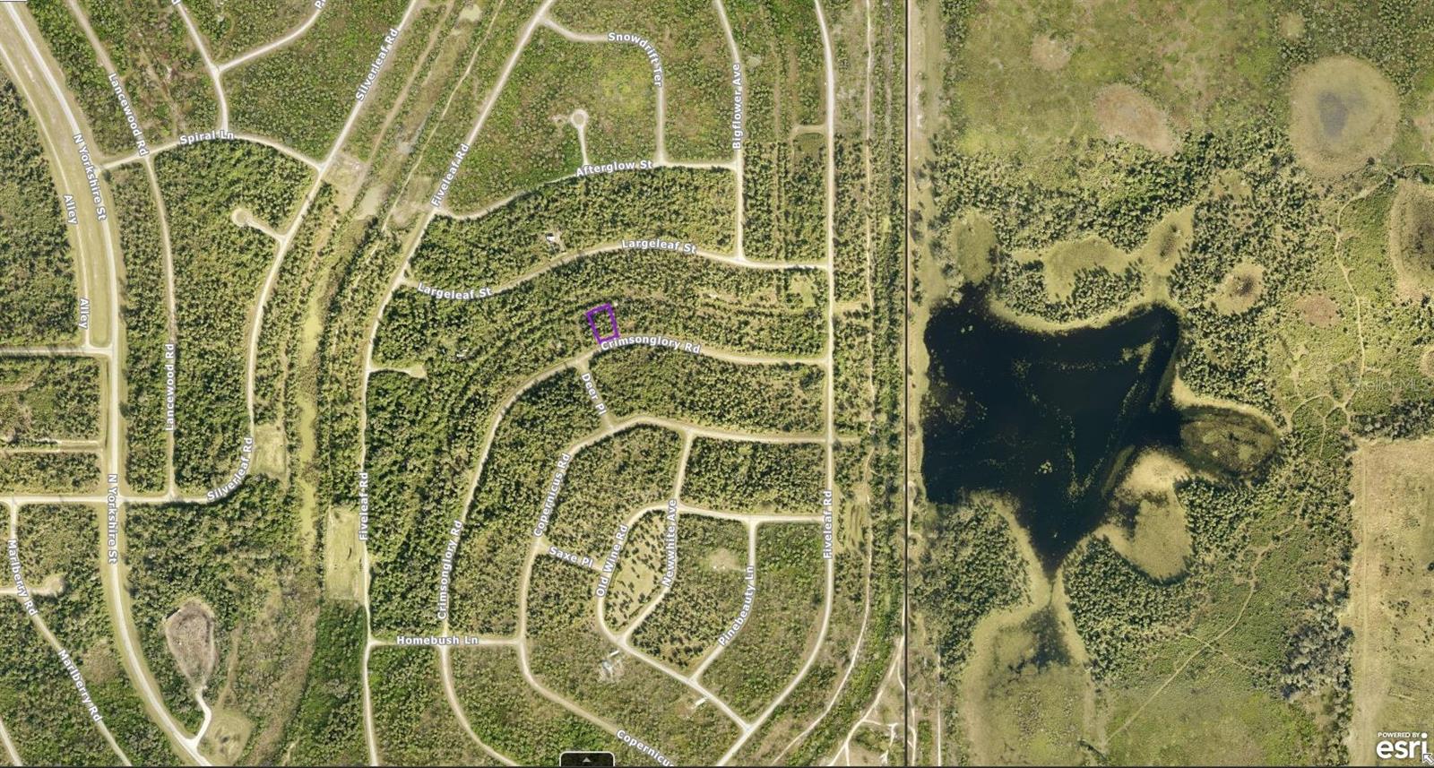 Listing photo id 1 for 1128226043 Crimsonglory Road