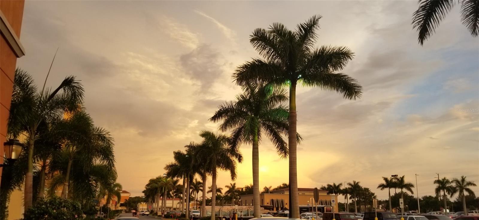 Listing photo id 36 for 1128226043 Crimsonglory Road