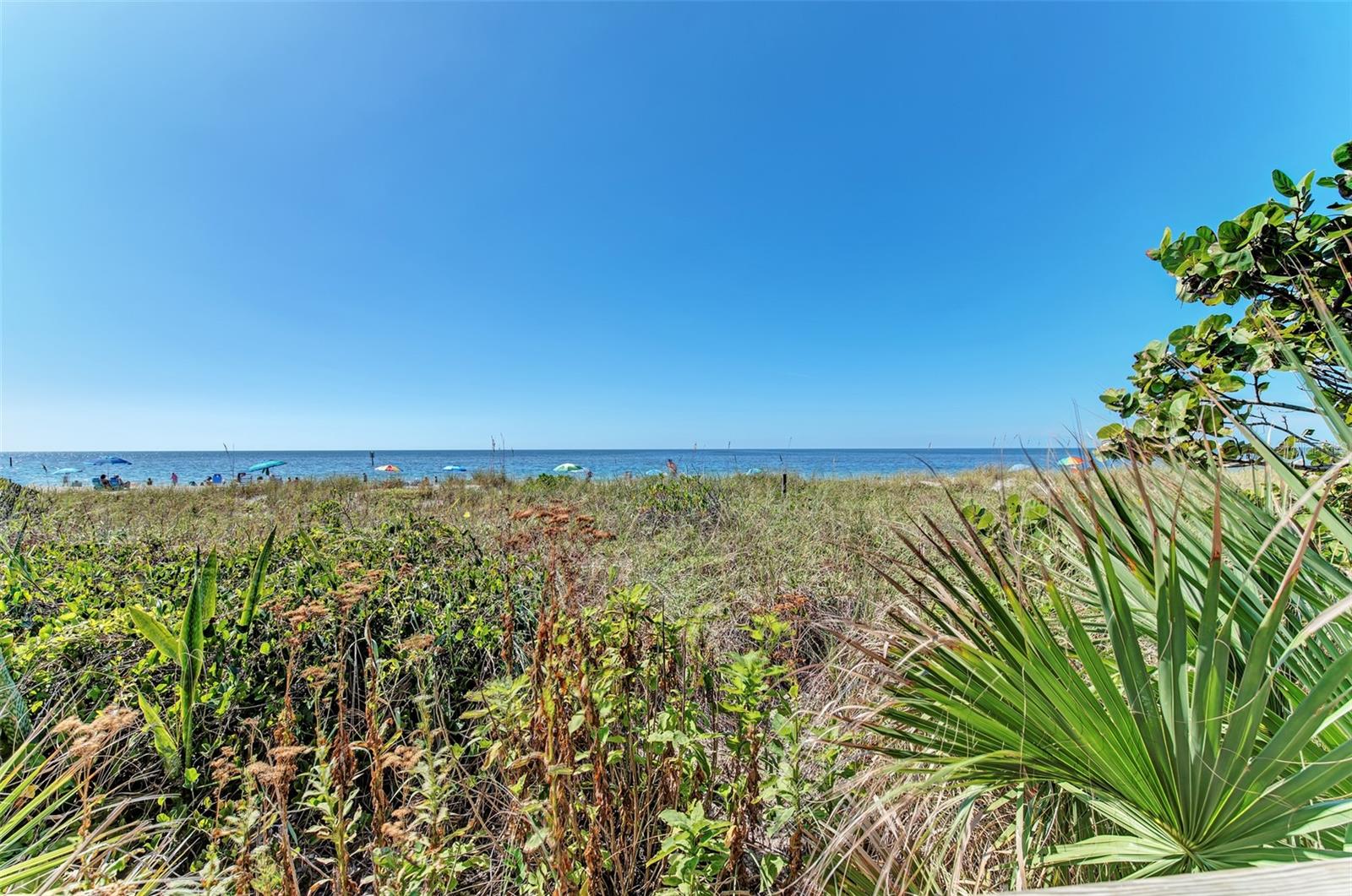 Image 18 of 26 For 3125 Tamarind Street