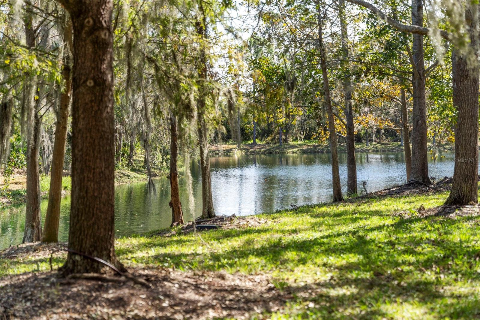 Image 49 of 84 For 8156 Villa Grande Court