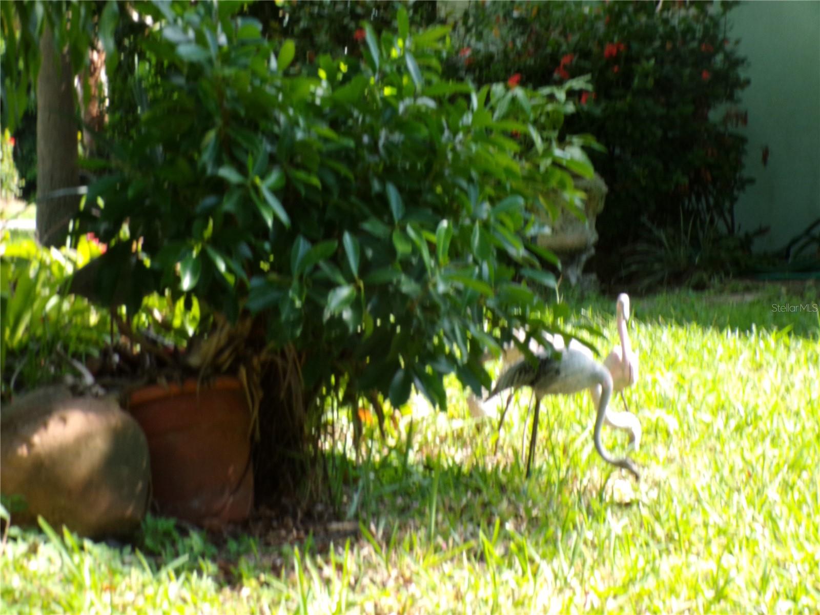 Image 35 of 40 For 2403 Palma Sola Boulevard