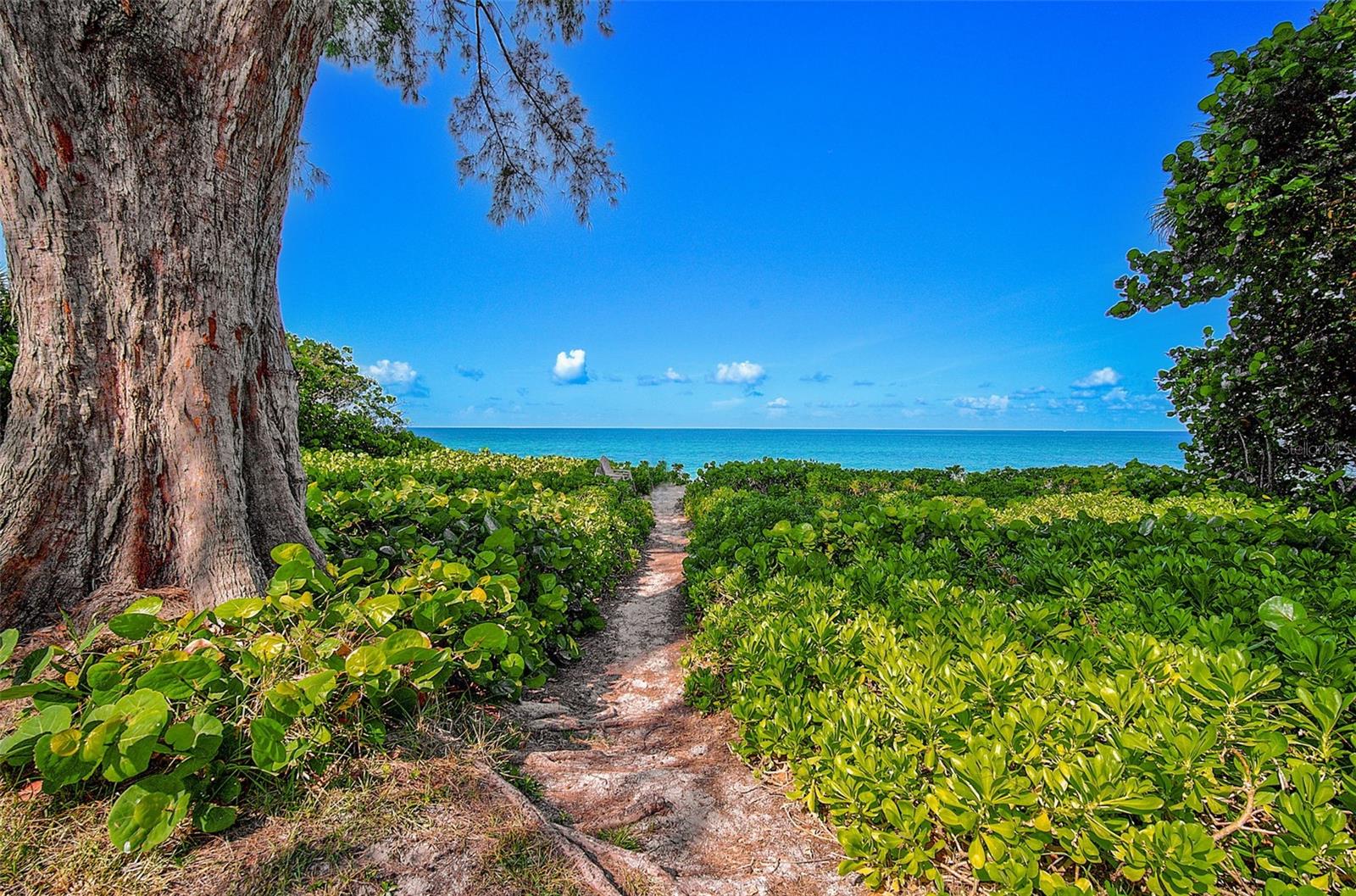 Listing photo id 57 for 3616 Casey Key Road