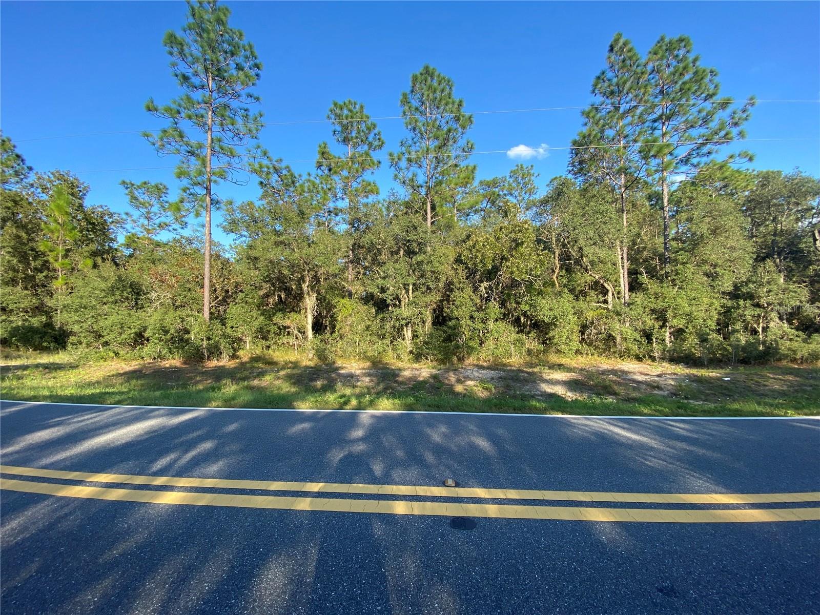 Details for Tbd Ridgewood Road, DUNNELLON, FL 34431