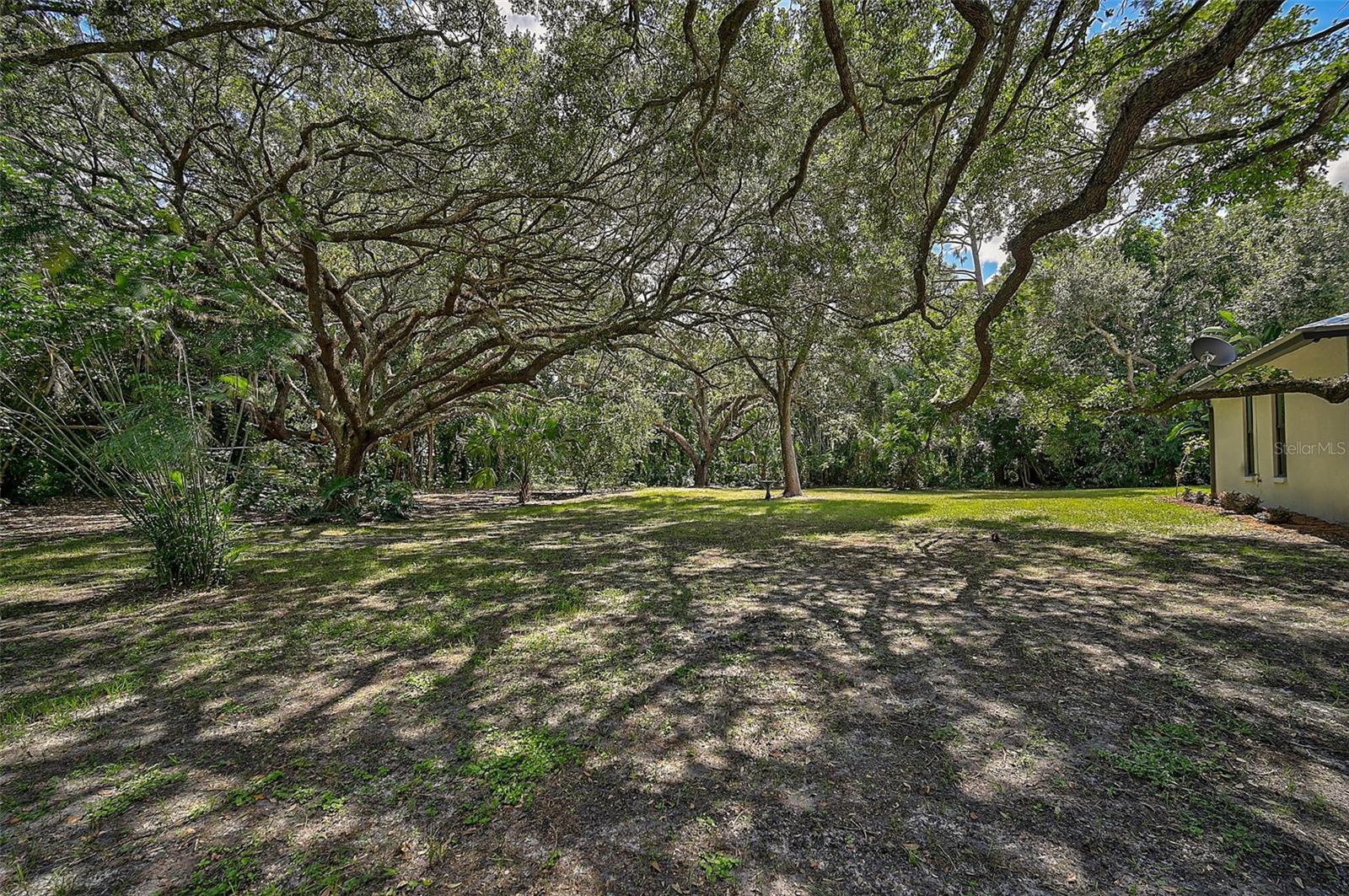 Listing photo id 39 for 4554 Hidden Forest Lane