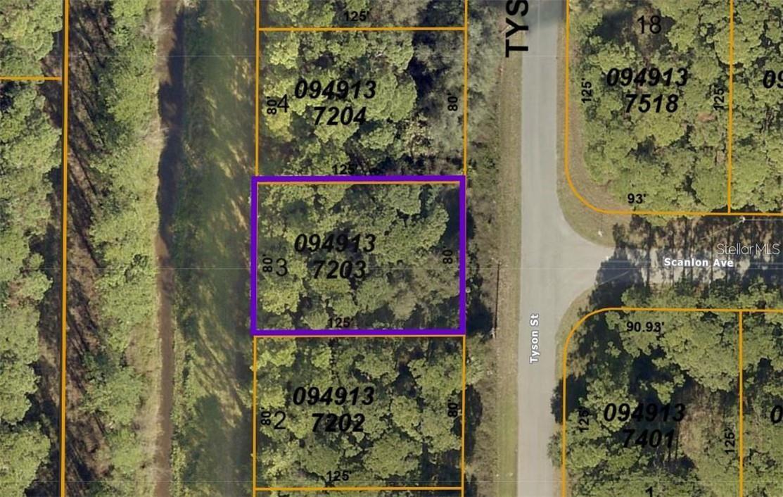 Details for Tyson Street Lot 3, NORTH PORT, FL 34291