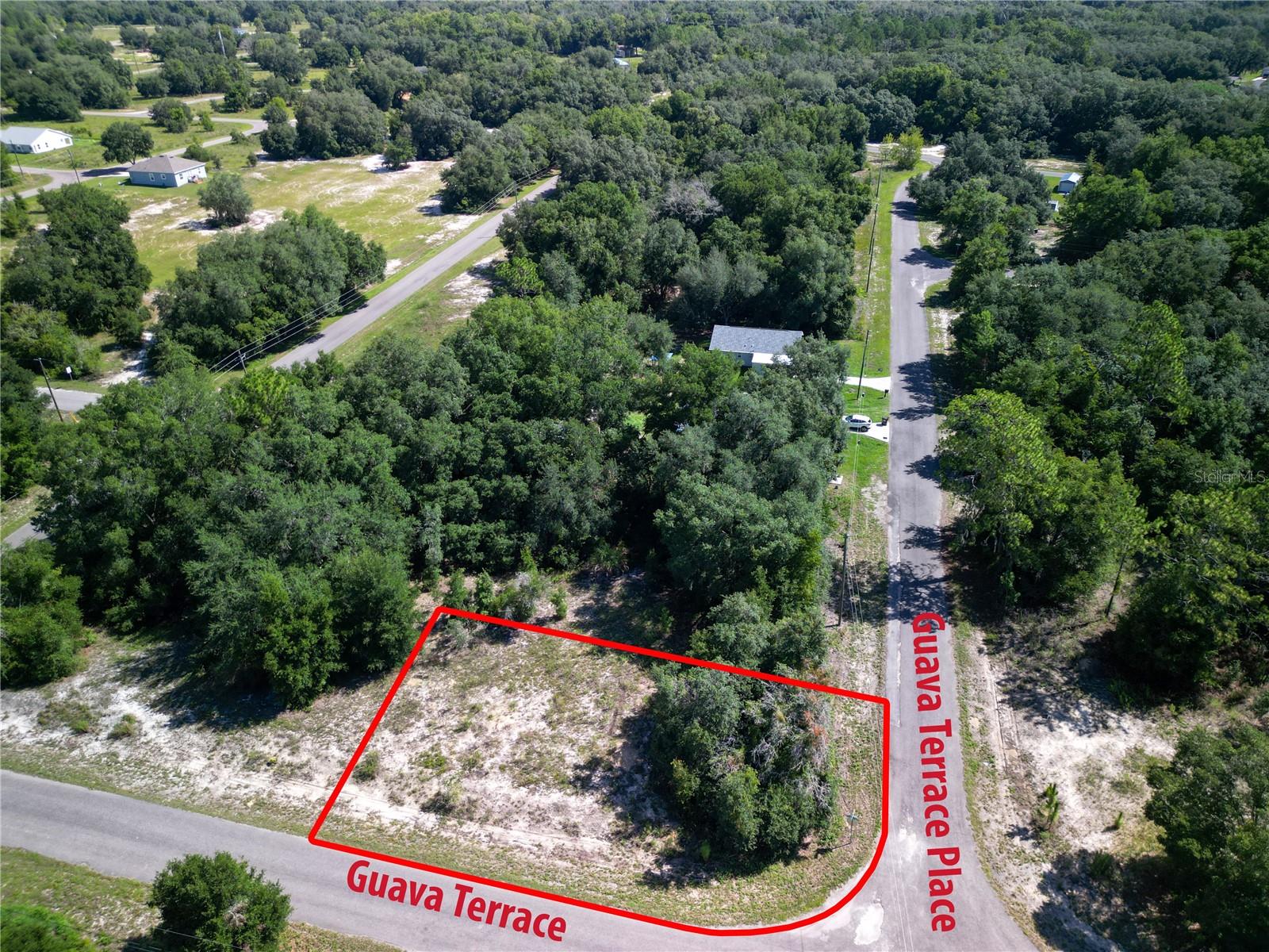 Details for 9042-1642-11 Guava Terrace, OCKLAWAHA, FL 32179