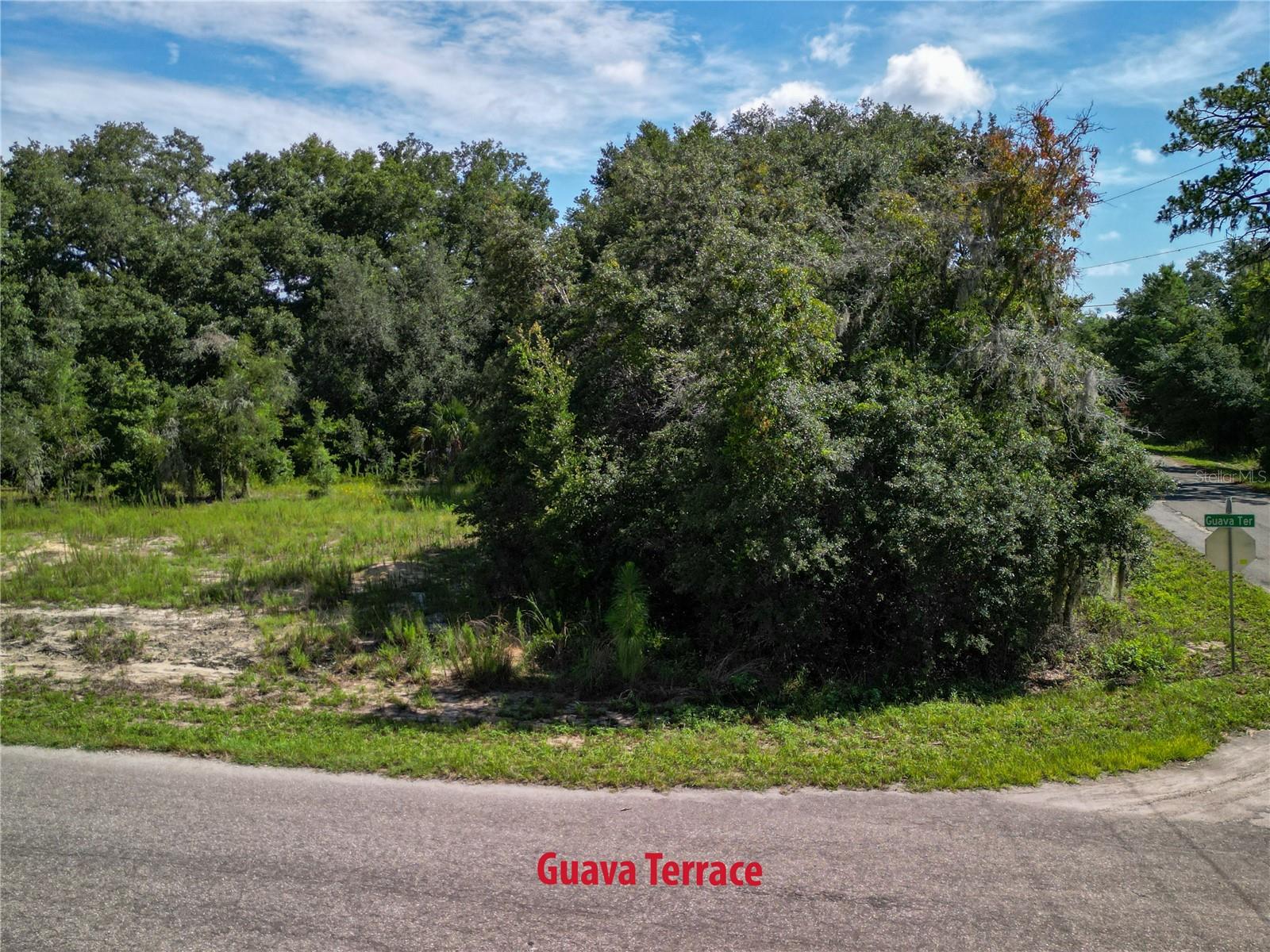 Image 15 of 17 For 9042-1642-11 Guava Terrace