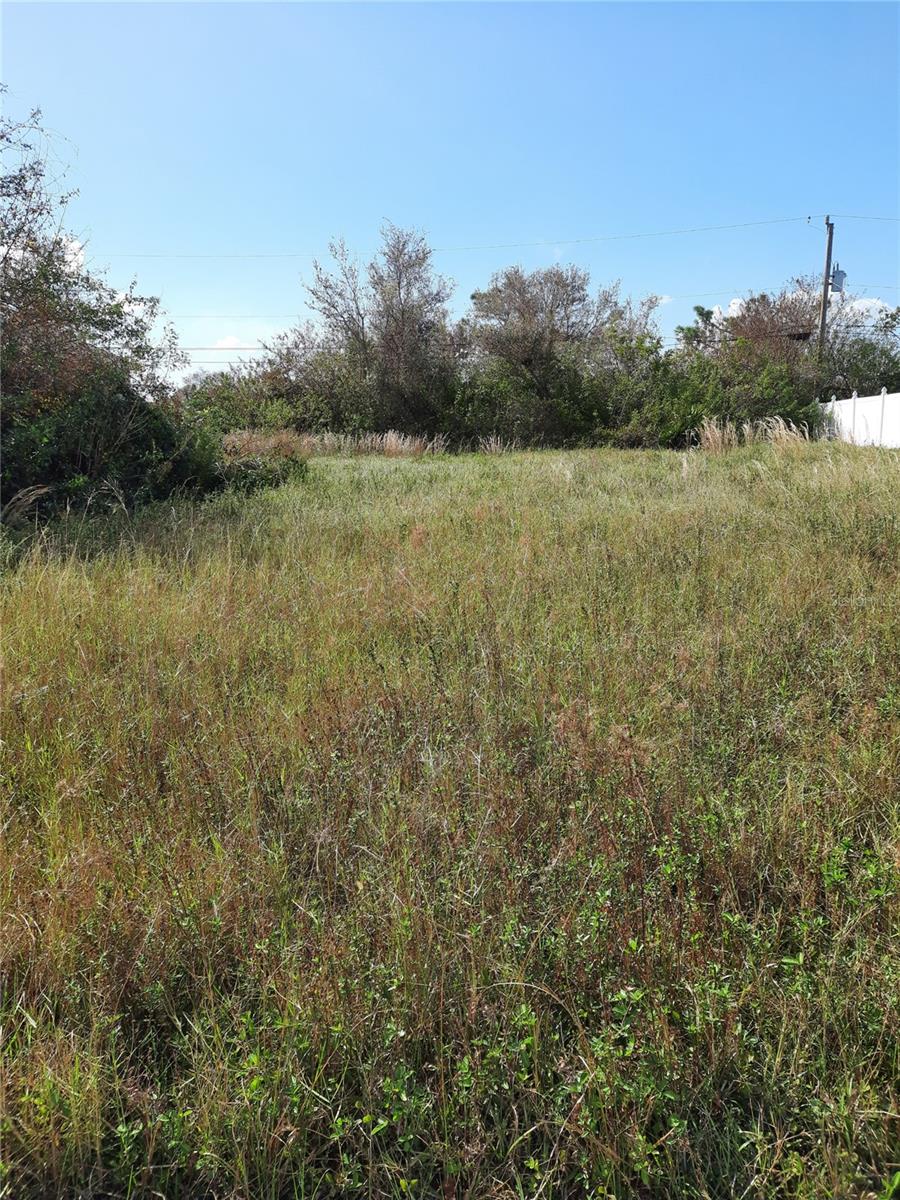 Image 5 of 6 For 6353 Sunnybrook Boulevard