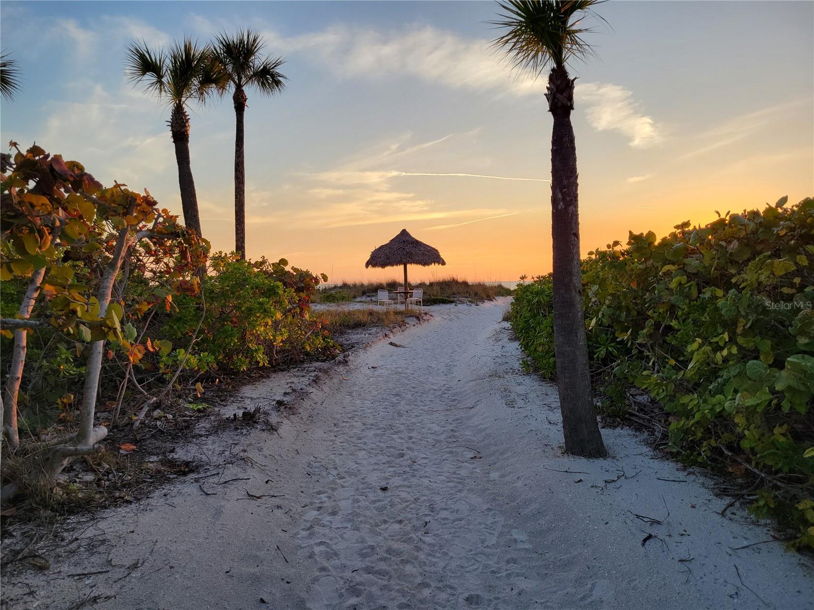 Image 74 of 77 For 1241 Gulf Of Mexico Drive 708