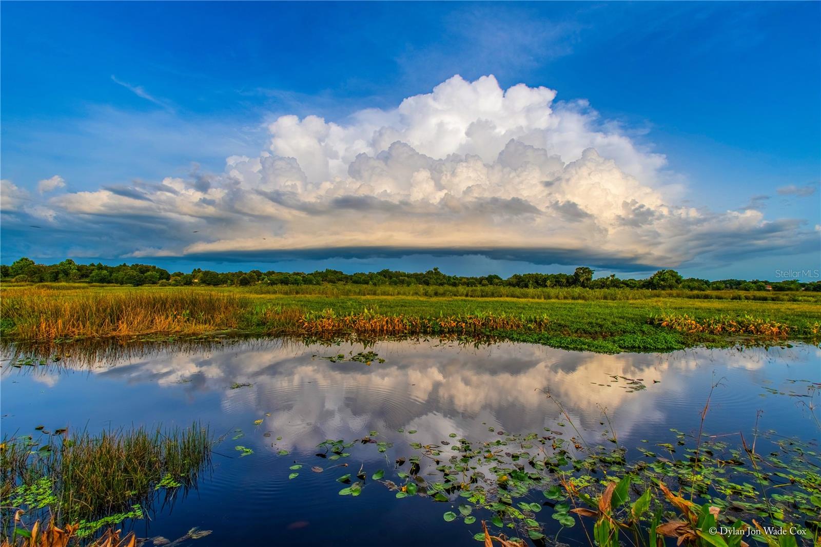 Image 81 of 98 For 800 Tamiami Trail 806