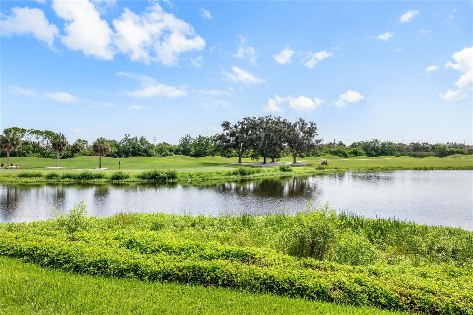 Image 48 of 60 For 4561 Murcia Boulevard 13