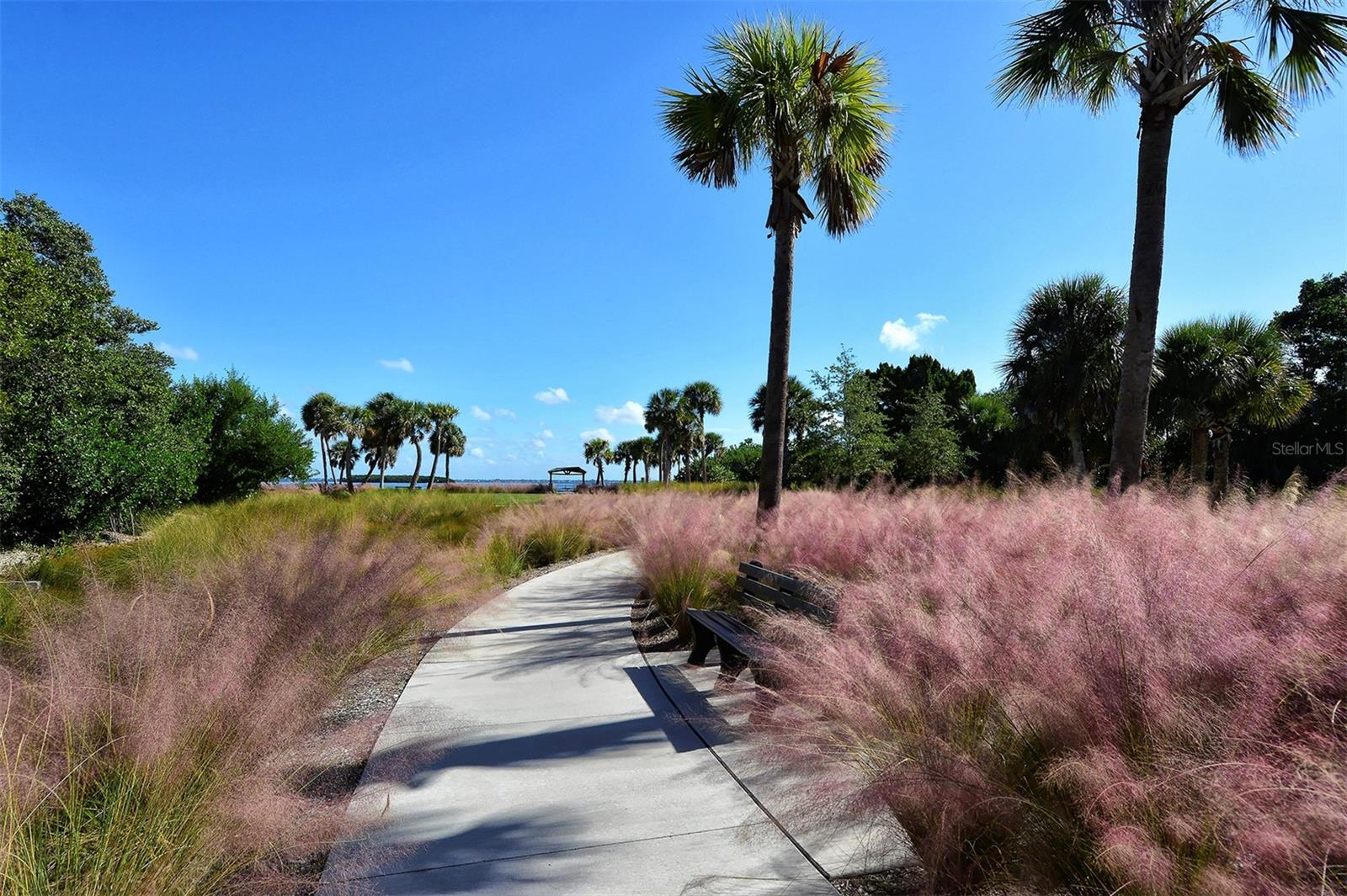 Image 60 of 76 For 3808 Gulf Of Mexico Drive E307