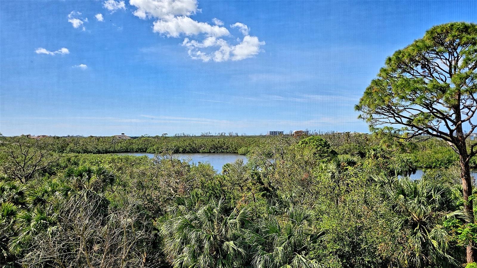 Details for 385 N Point Road 404, OSPREY, FL 34229