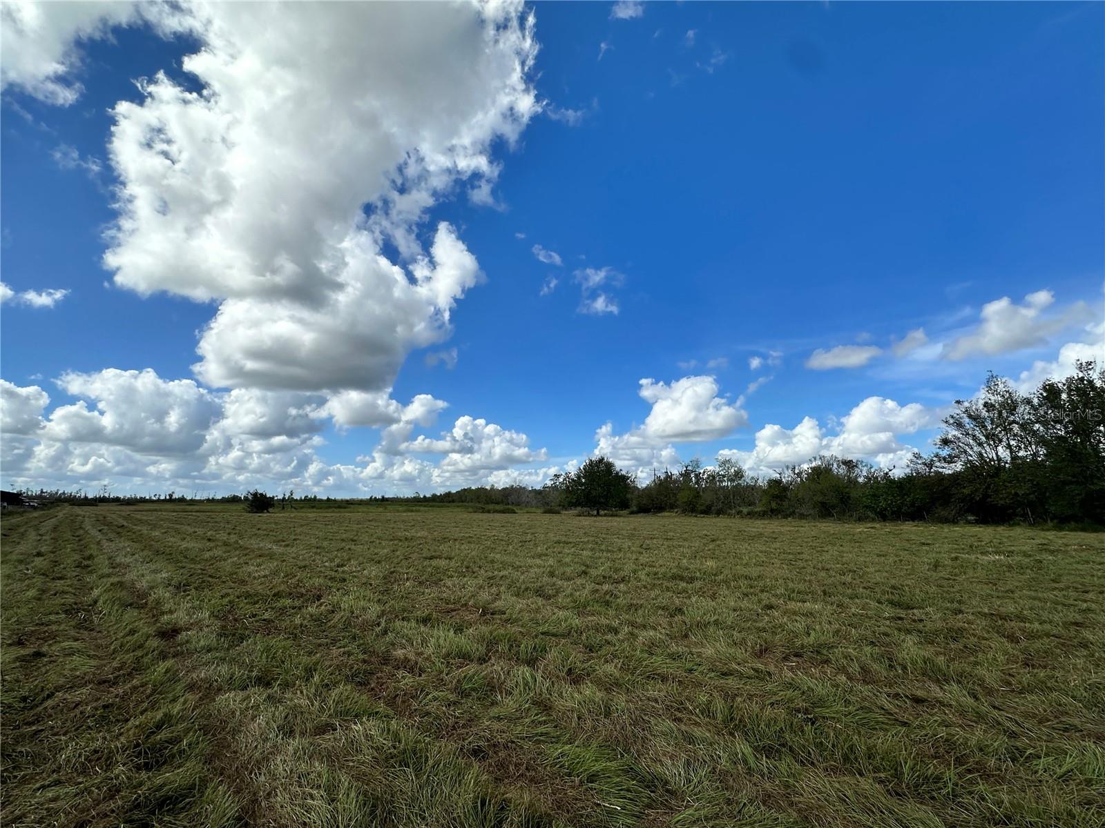 Image 7 of 8 For Wauchula Road