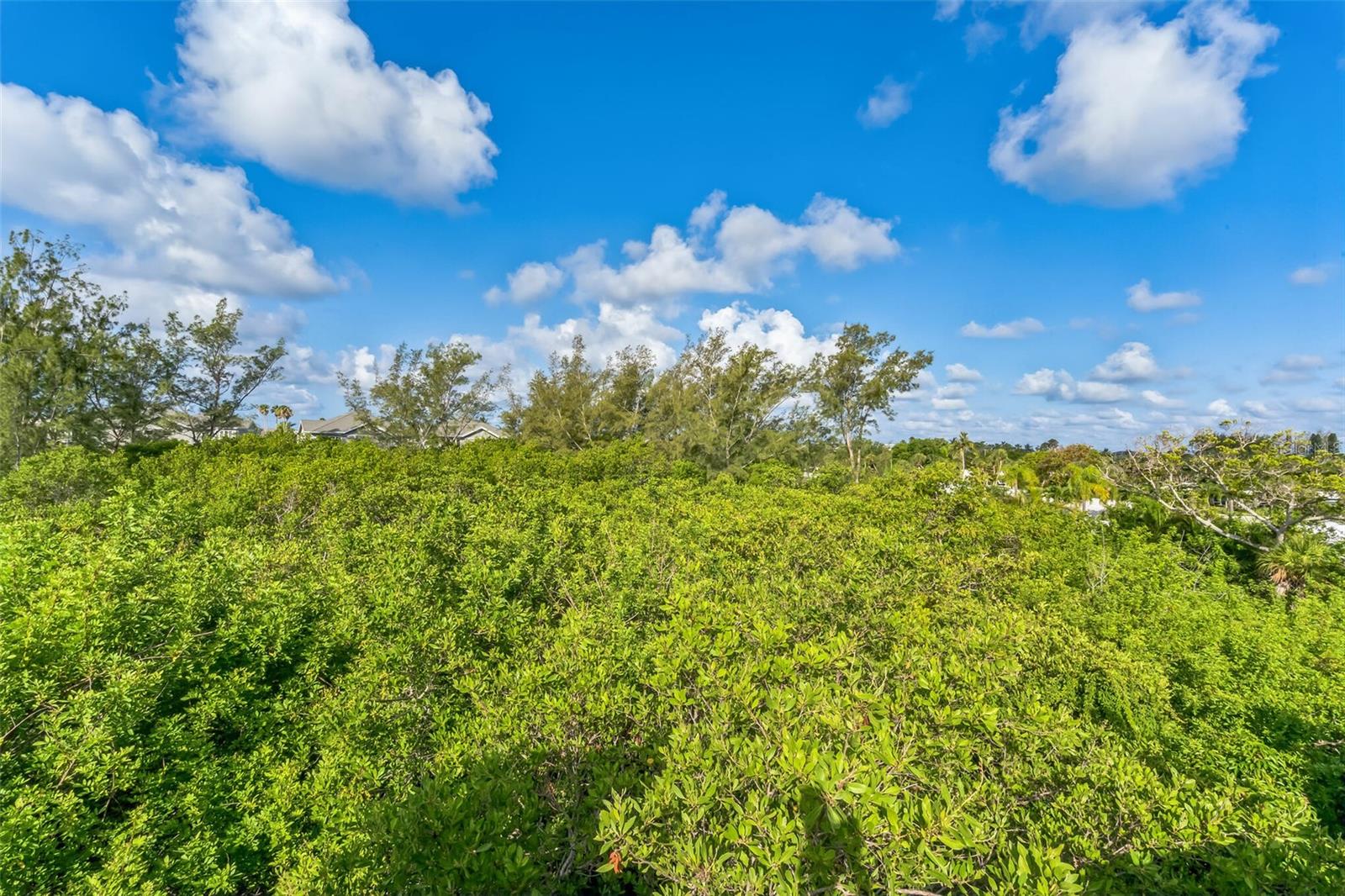 Image 67 of 95 For 619 Cedars Court