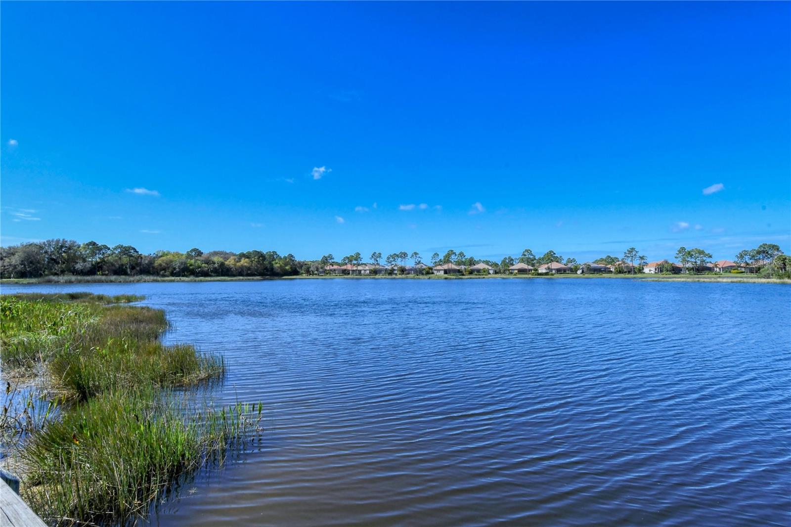 Image 77 of 81 For 12797 Palatka Drive