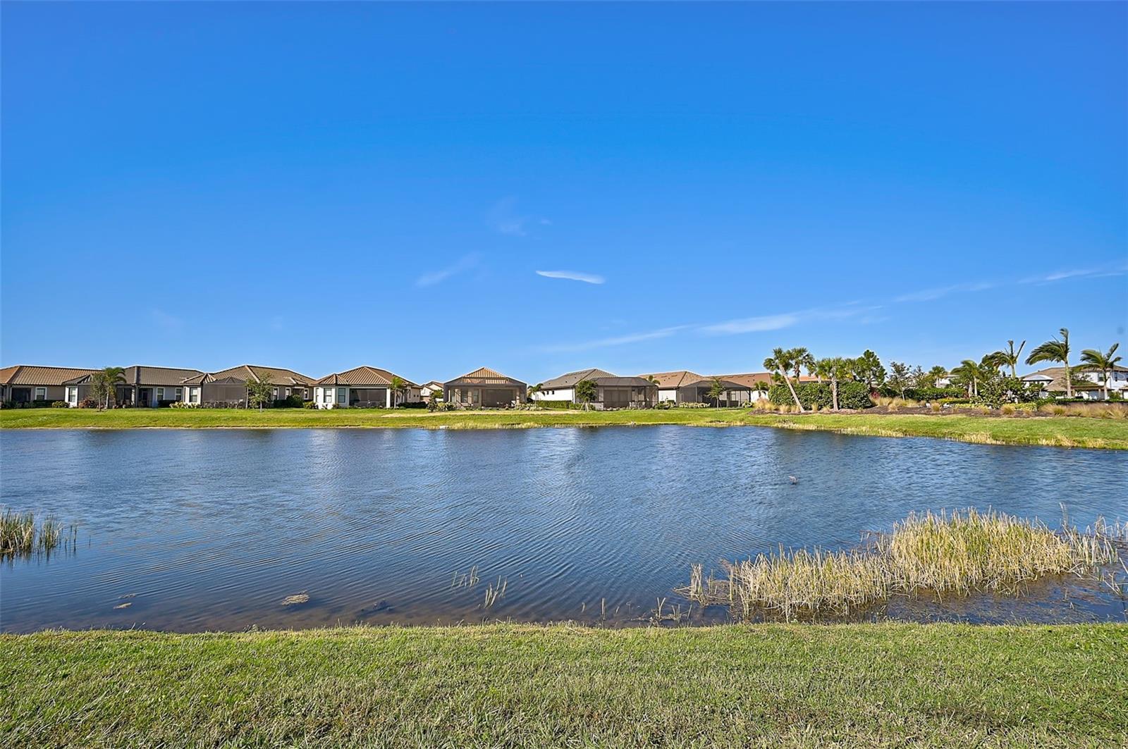 Image 29 of 88 For 4734 Tortona Court