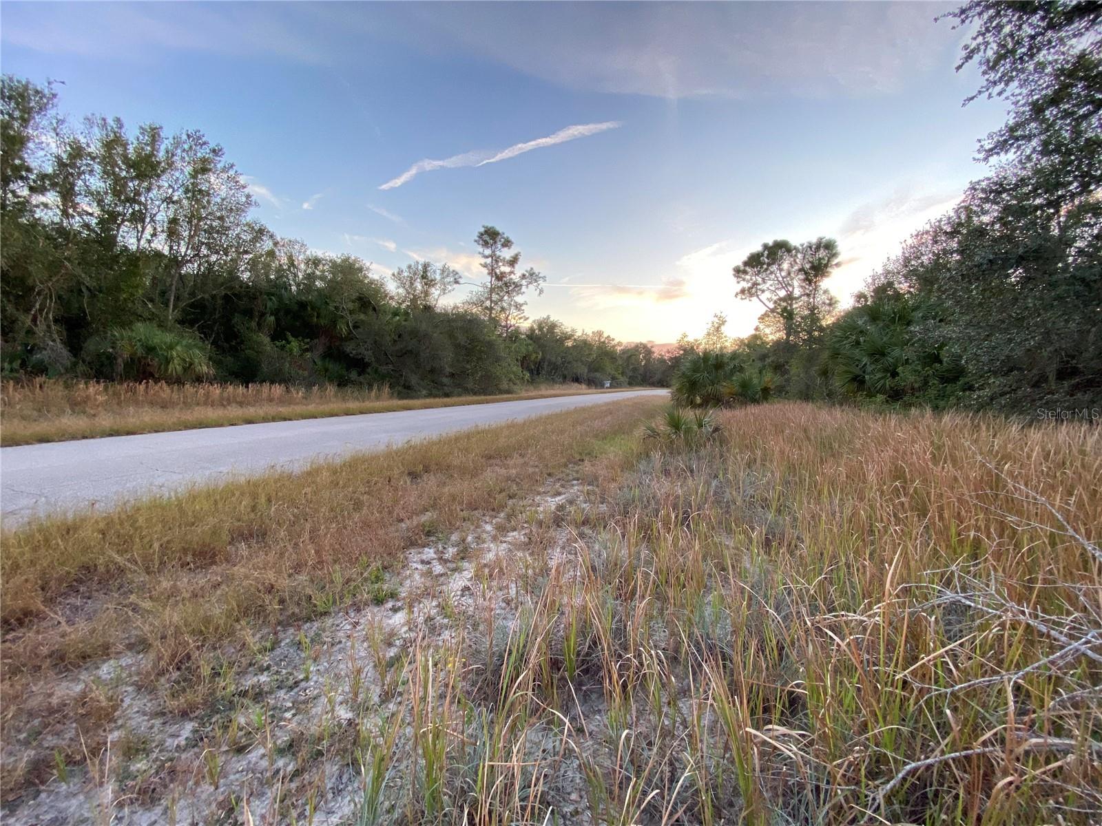 Image 4 of 6 For Whaling Road