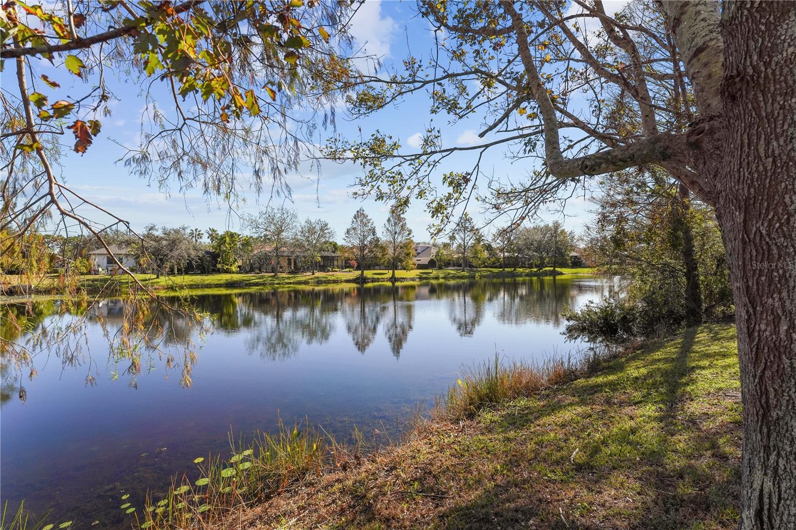 Image 65 of 85 For 6207 Warbler Lane