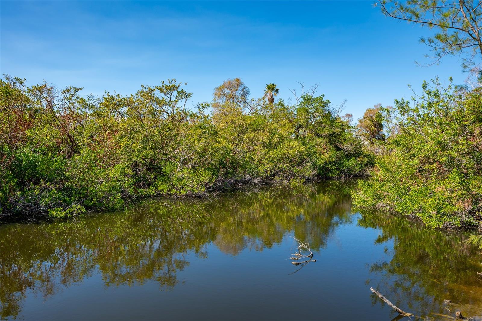 Image 8 of 40 For 6536 Sabal Drive