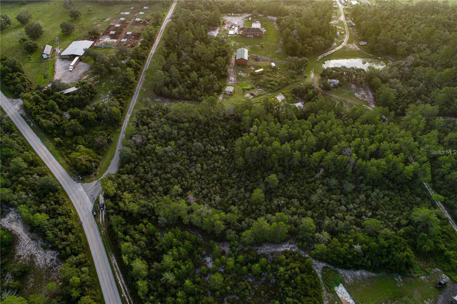 Image 8 of 9 For Arredando Grant Road