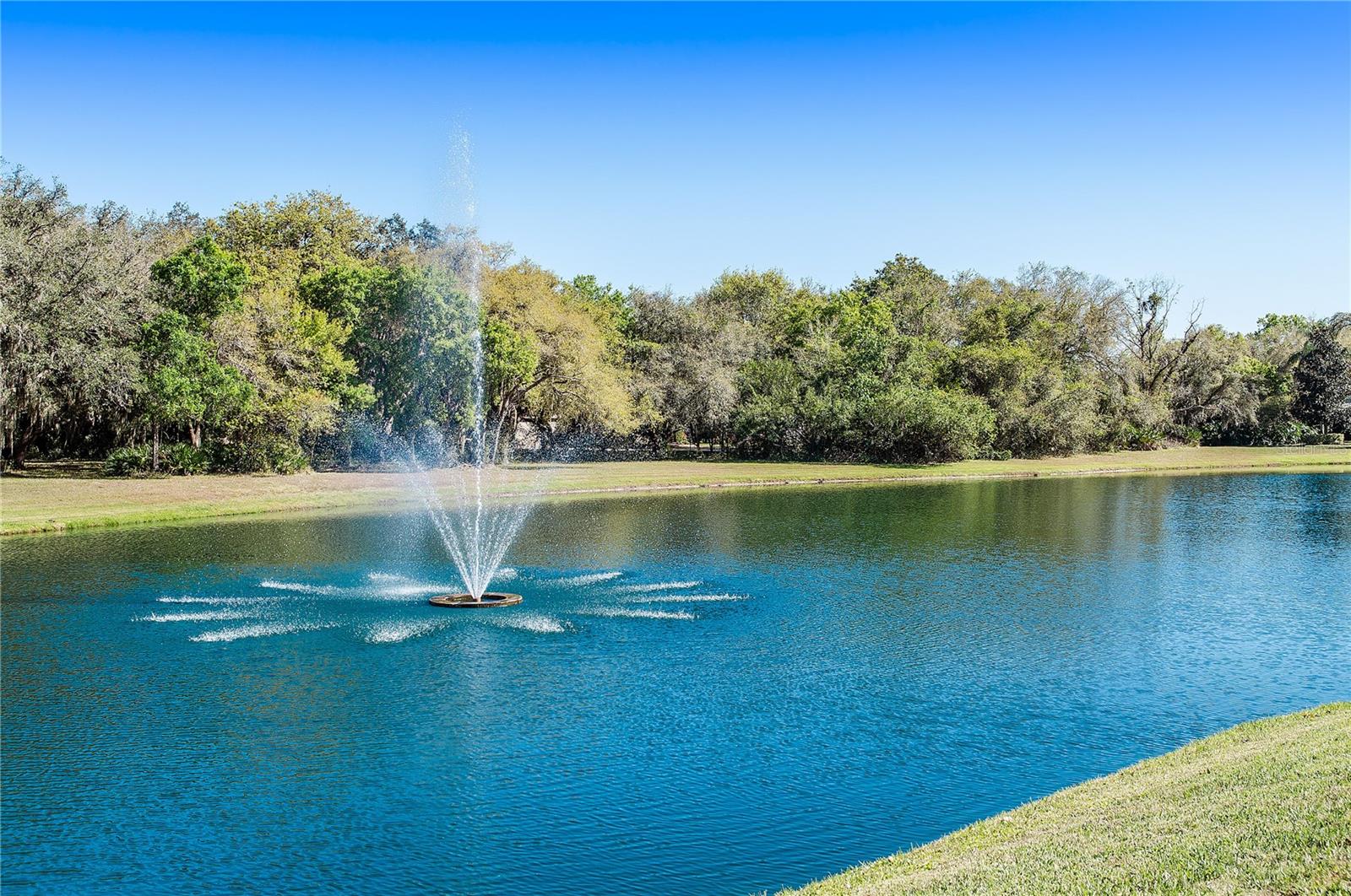 Image 69 of 99 For 11439 Savannah Lakes Drive