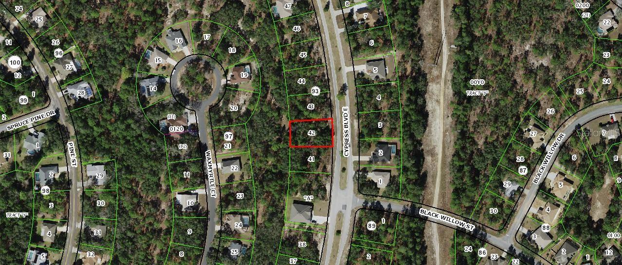 Details for 113 Cypress Boulevard E, HOMOSASSA, FL 34446