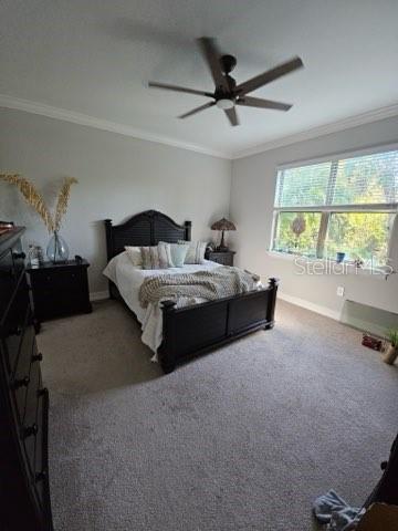 Image 13 of 46 For 153 Soliera Street