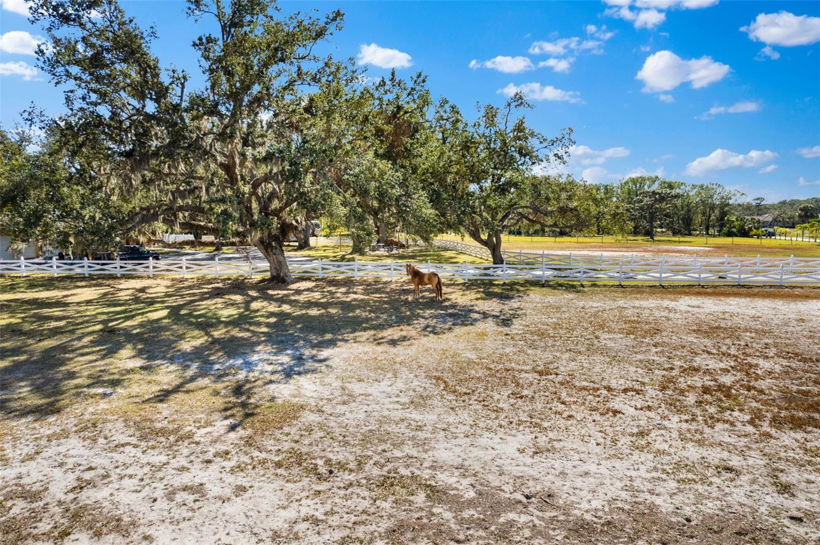 Image 80 of 84 For 7146 Territory Lane