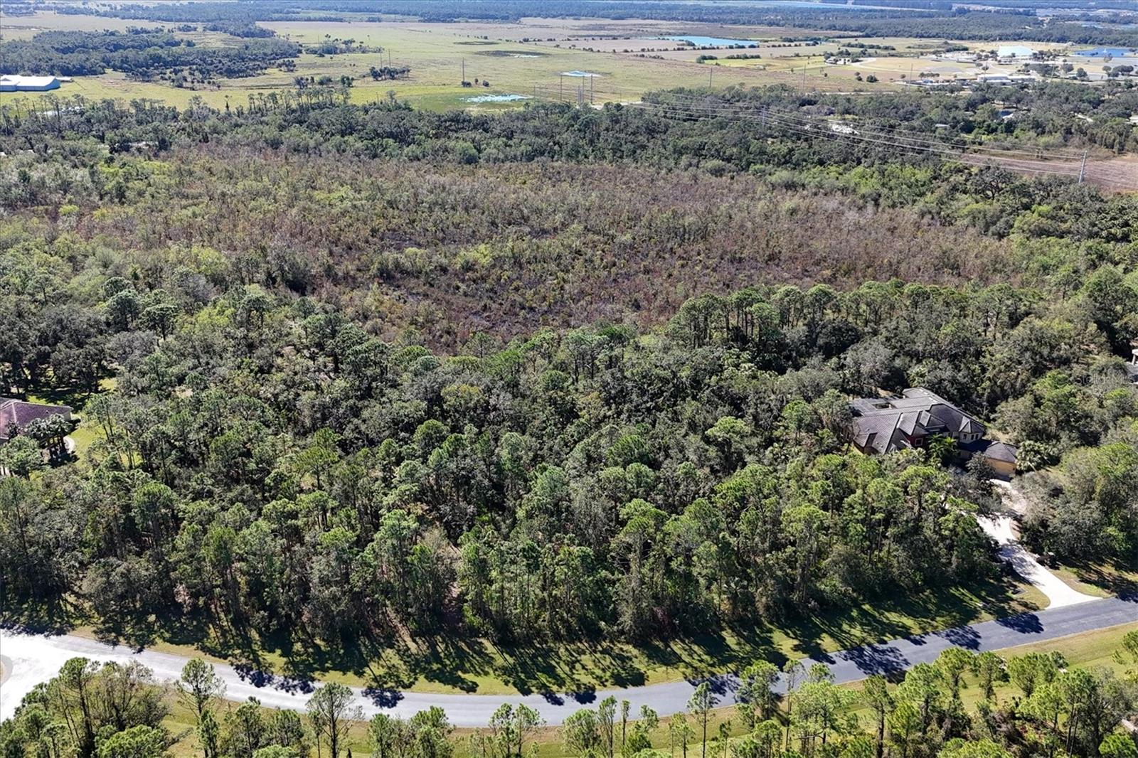 Image 4 of 30 For 9435 Swaying Branch Road