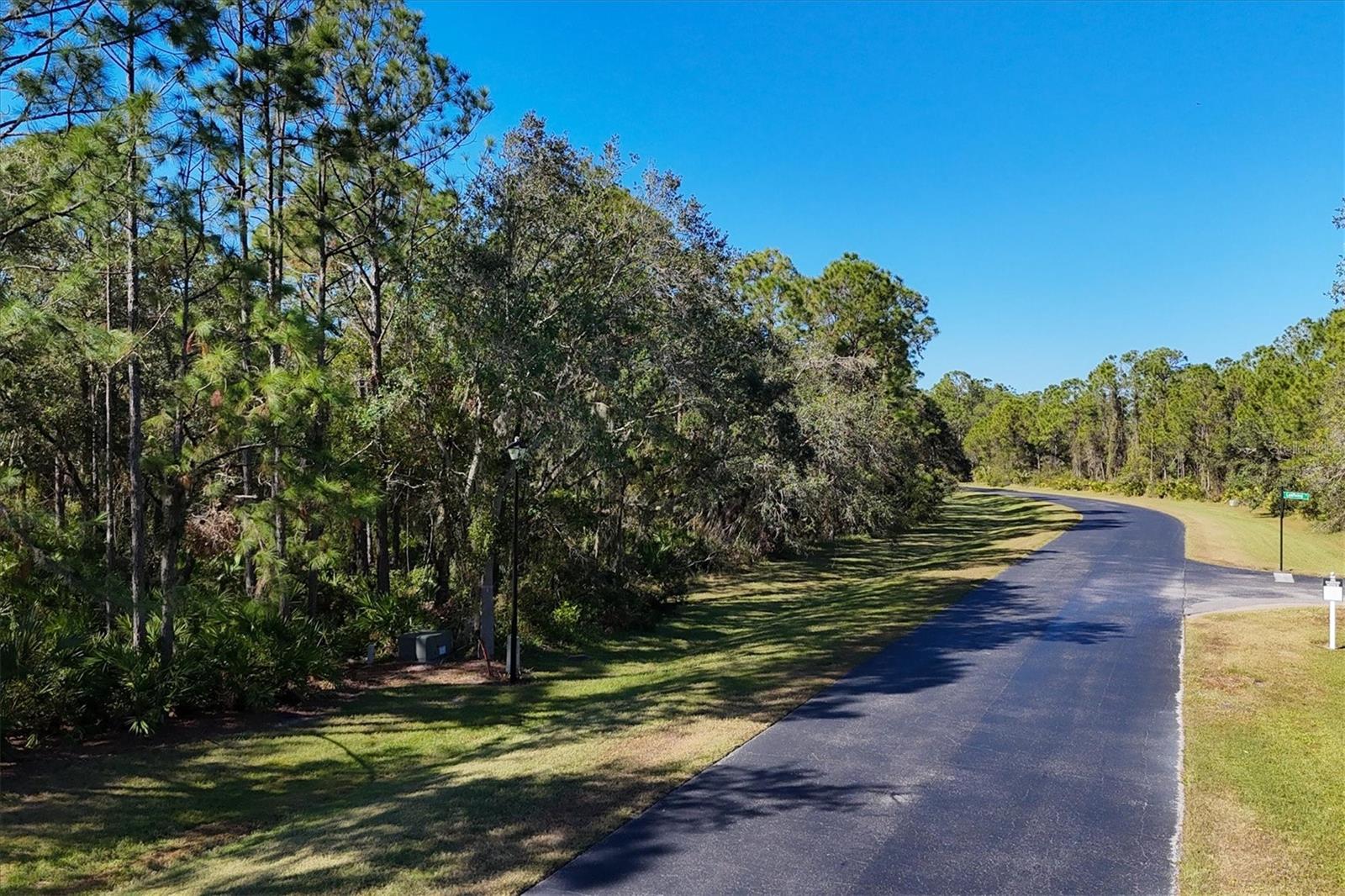 Image 8 of 30 For 9435 Swaying Branch Road