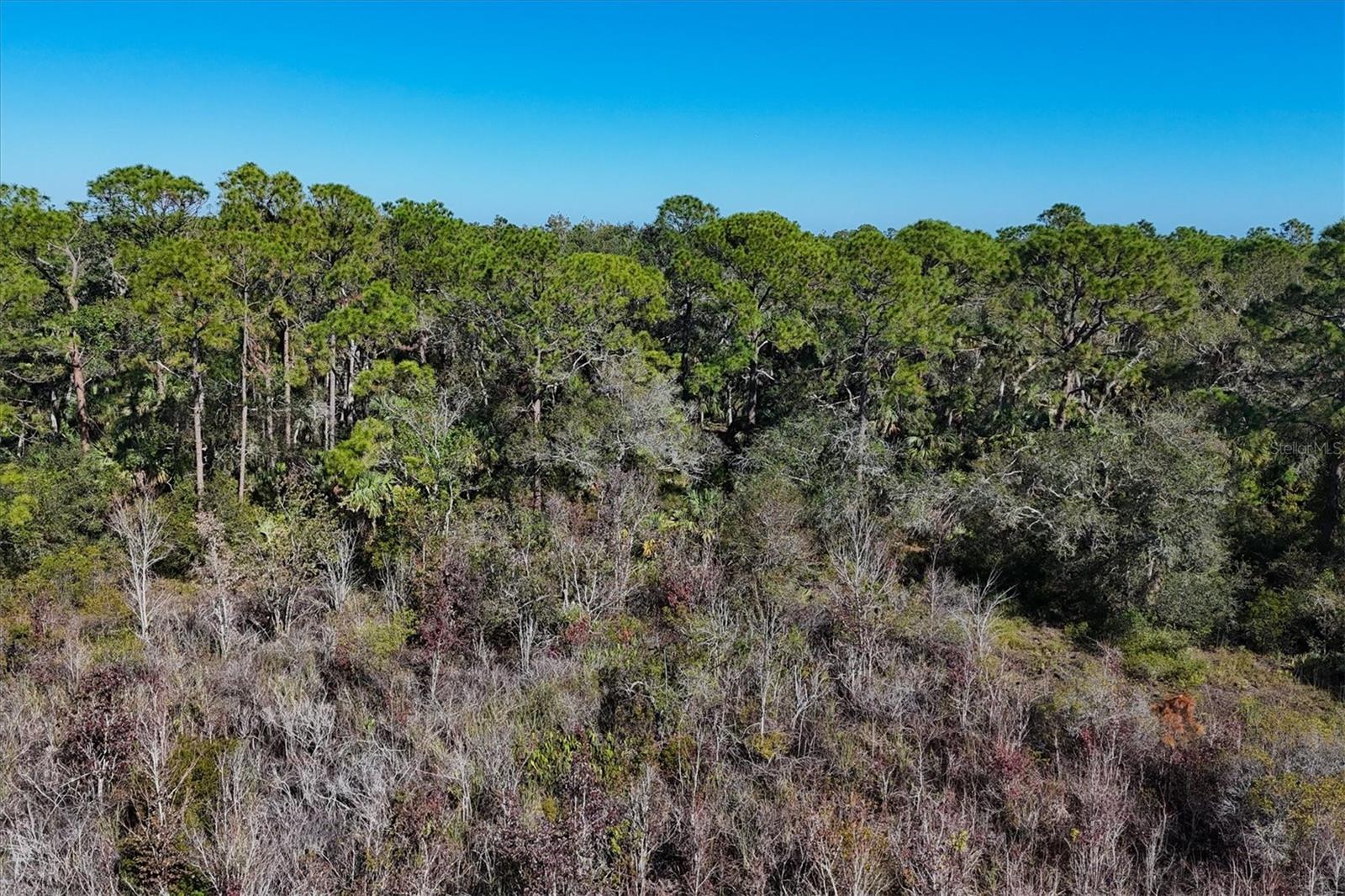 Image 9 of 30 For 9435 Swaying Branch Road