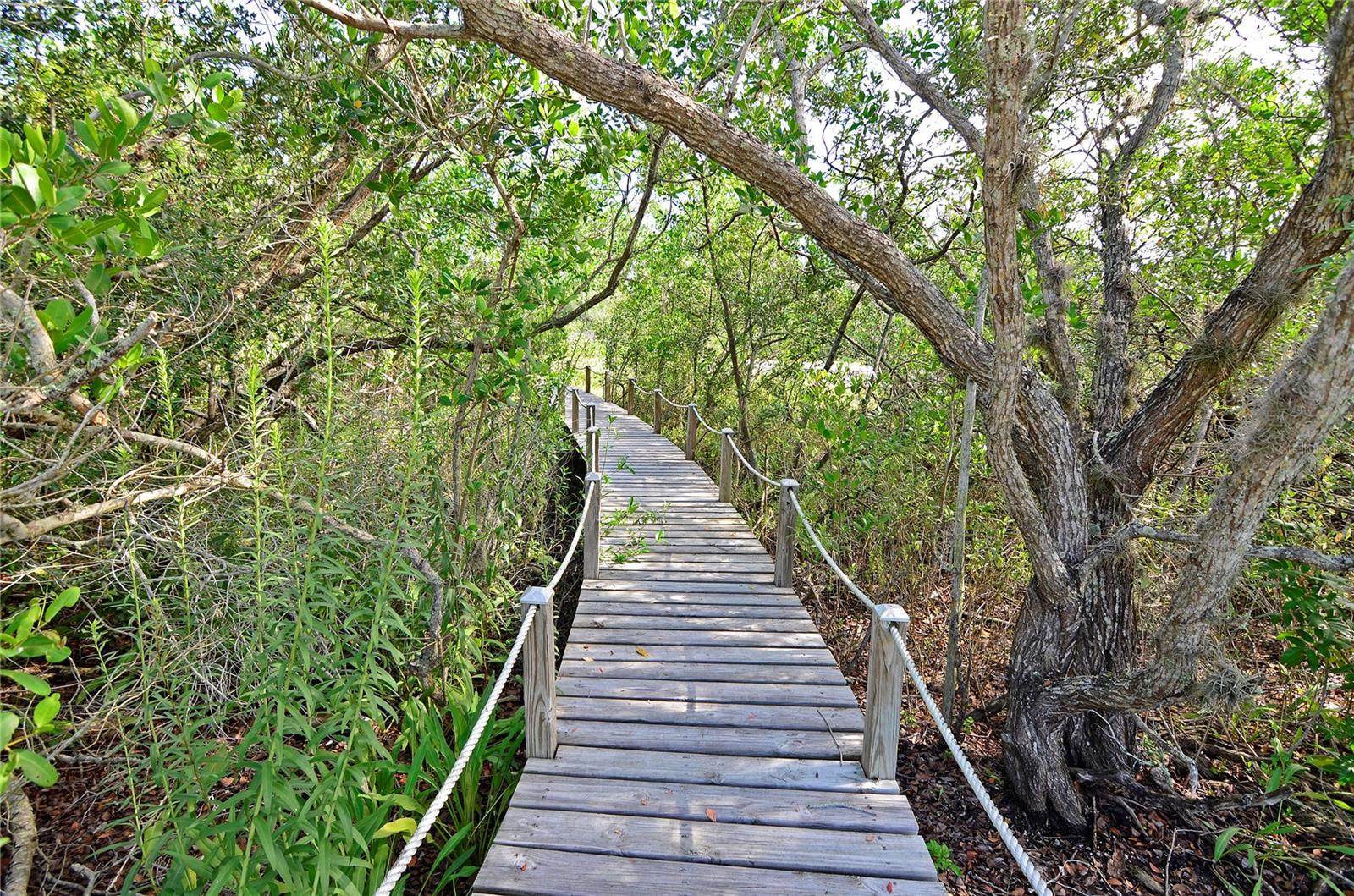 Image 55 of 58 For 114 Tidy Island Boulevard