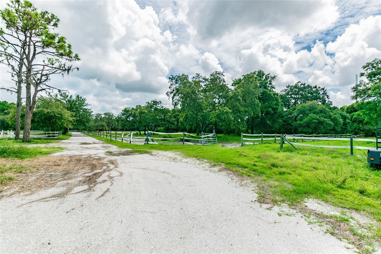 Listing photo id 1 for 1130 Anclote Road