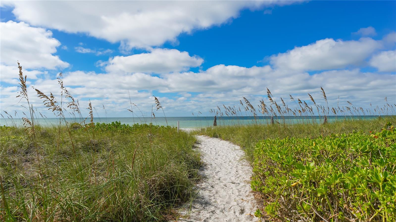 Image 38 of 70 For 4960 Gulf Of Mexico Drive 206