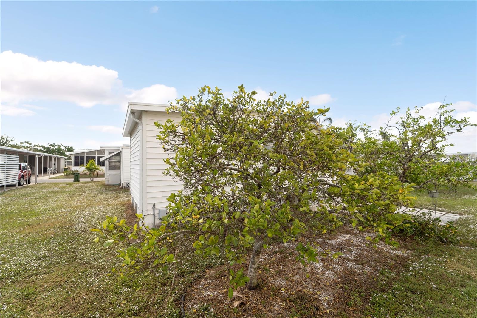 Image 30 of 42 For 3403 Overcup Oak Terrace