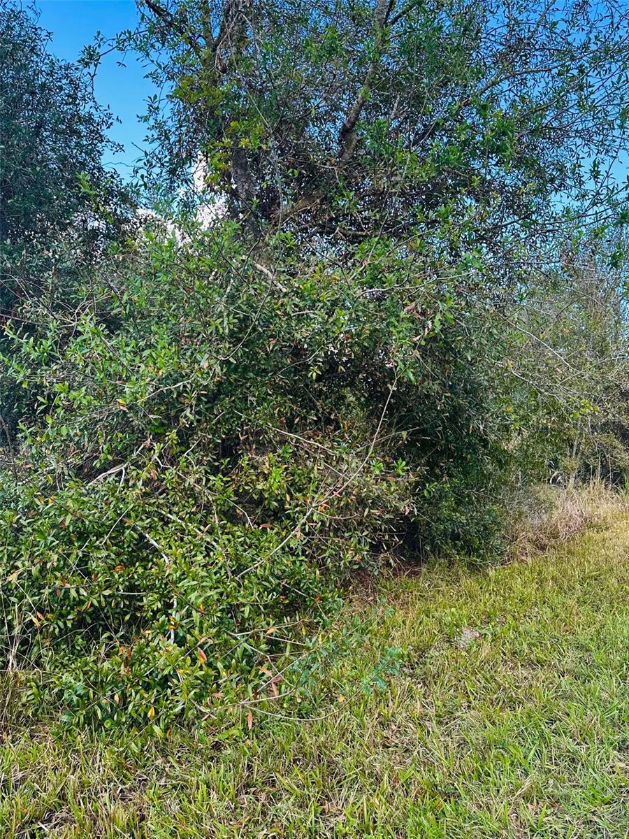 Details for 14483 Rowan Avenue, PORT CHARLOTTE, FL 33953