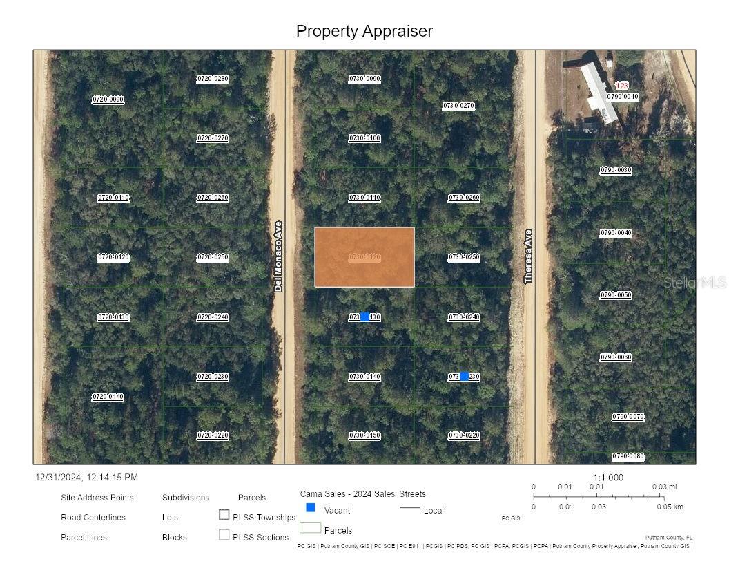 Details for 0 Del Monaco Avenue, INTERLACHEN, FL 32148