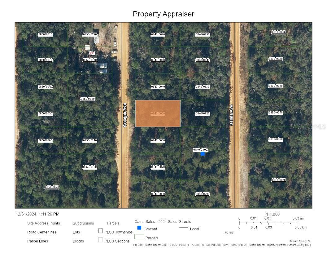 Details for Creager Avenue, INTERLACHEN, FL 32148