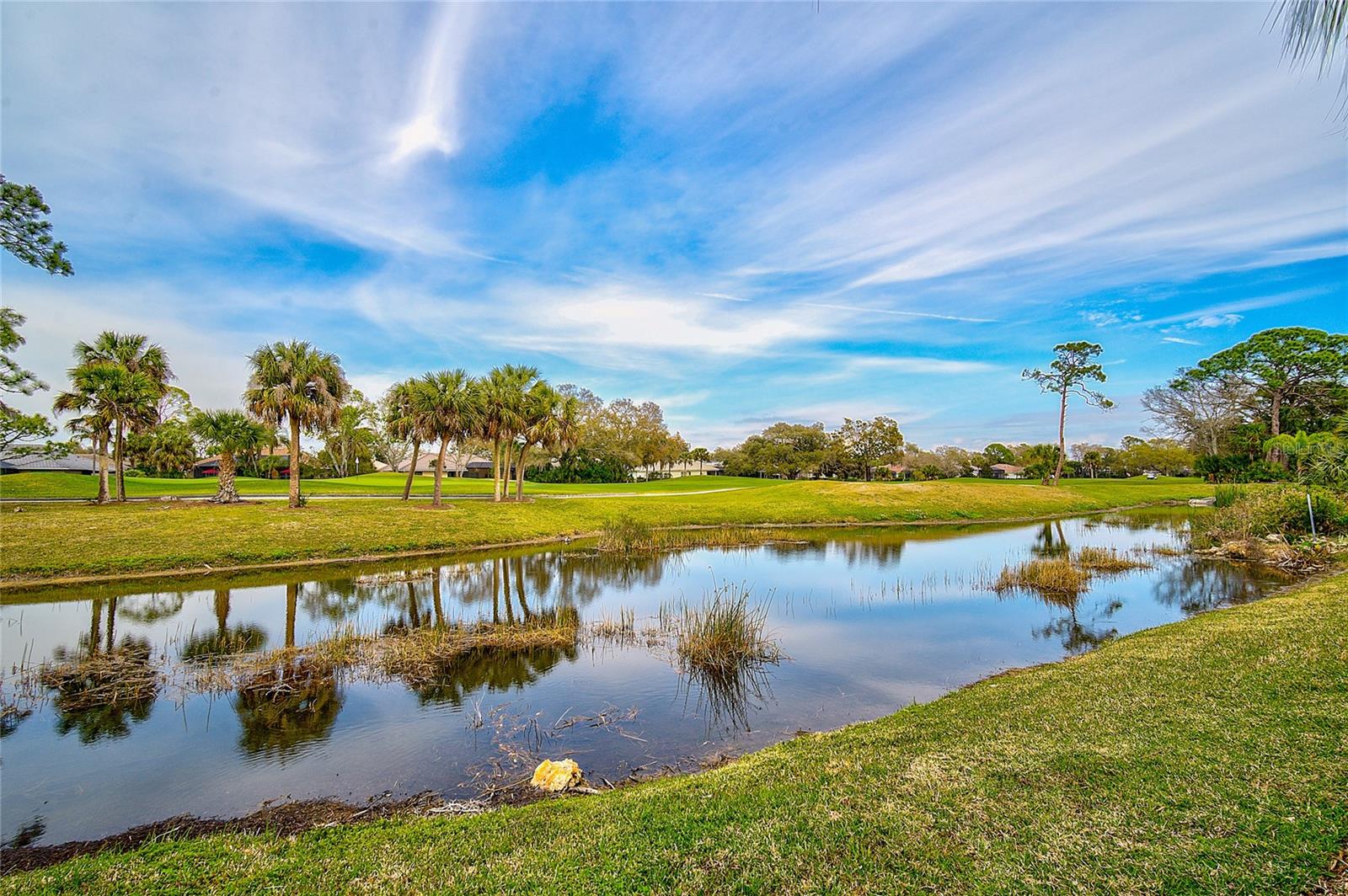 Image 61 of 81 For 2123 Calusa Lakes Boulevard