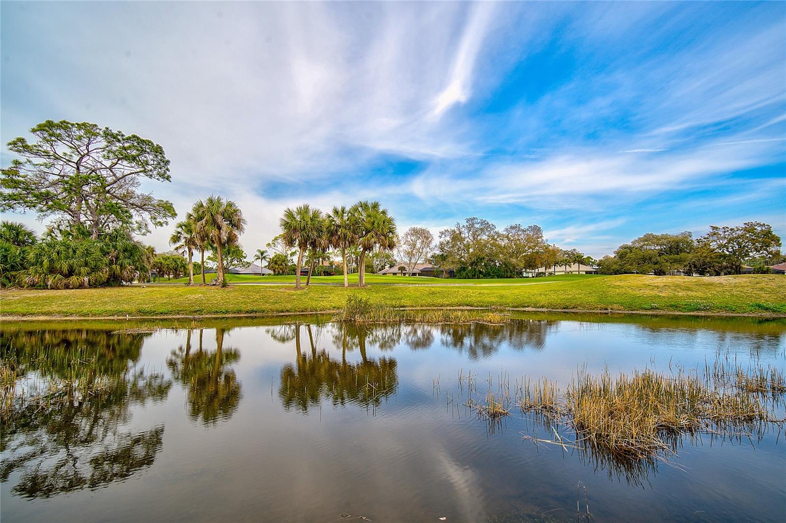 Image 62 of 81 For 2123 Calusa Lakes Boulevard