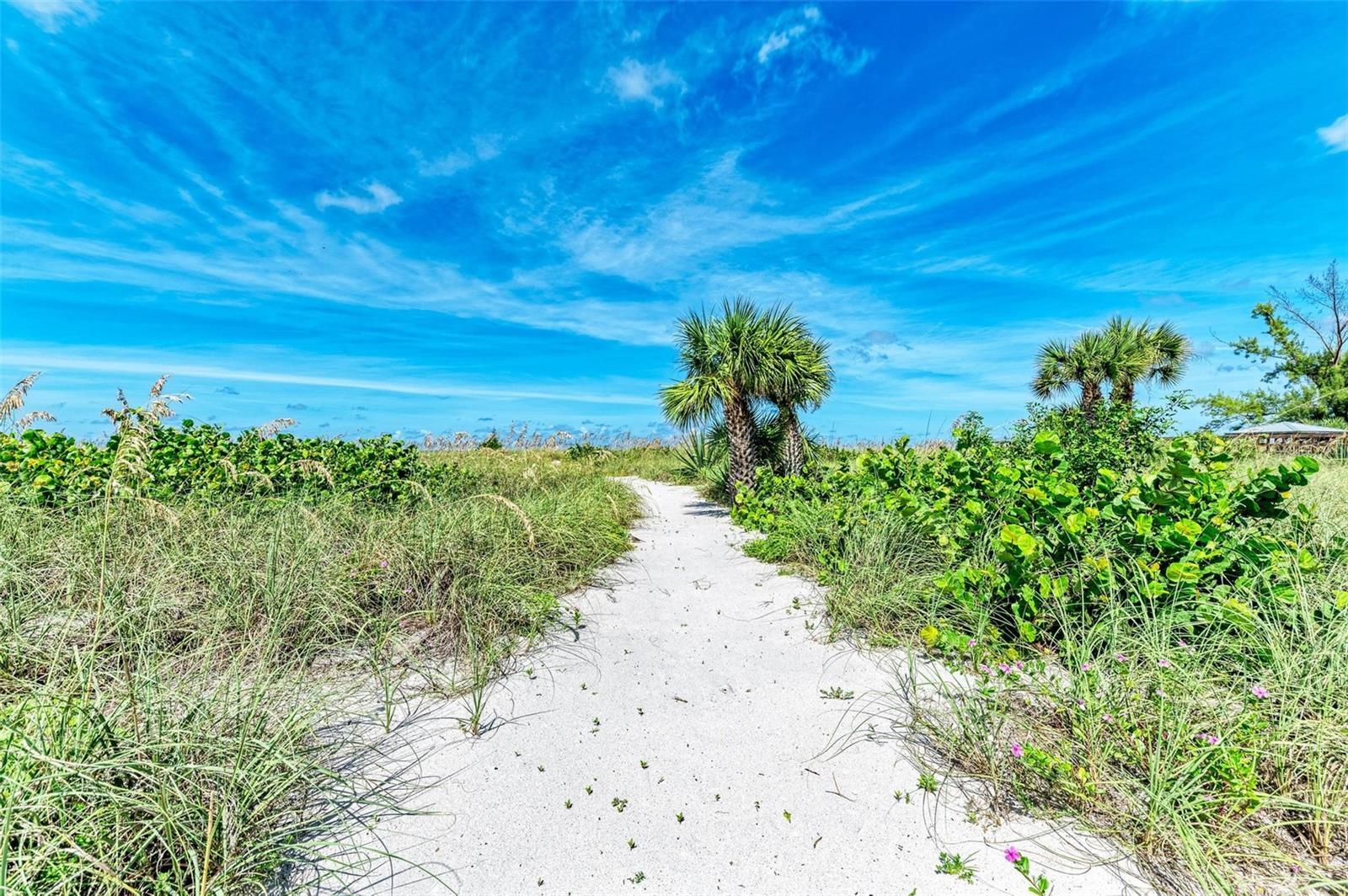 Image 93 of 98 For 506 Casey Key Road