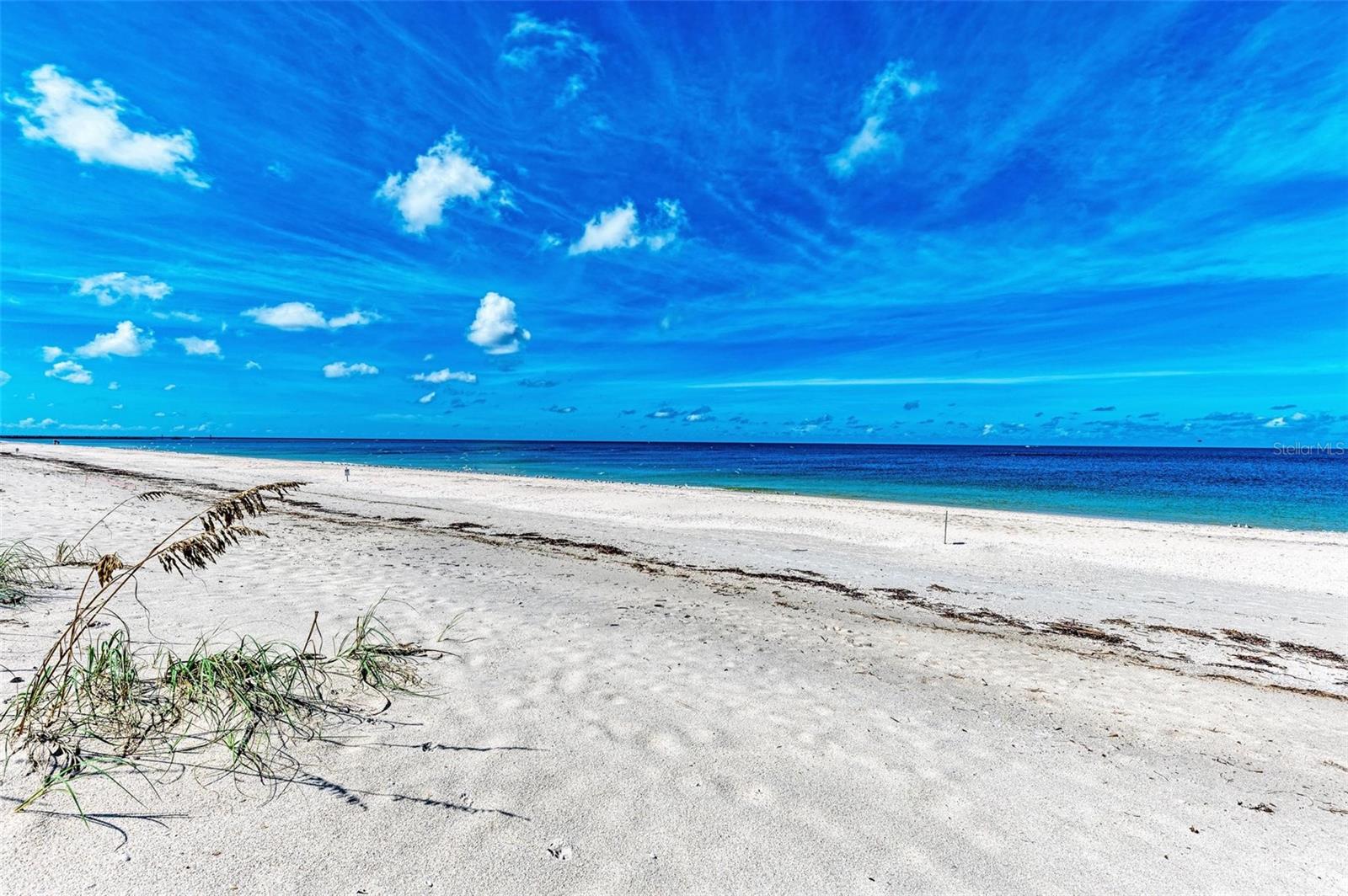 Image 97 of 99 For 506 Casey Key Road